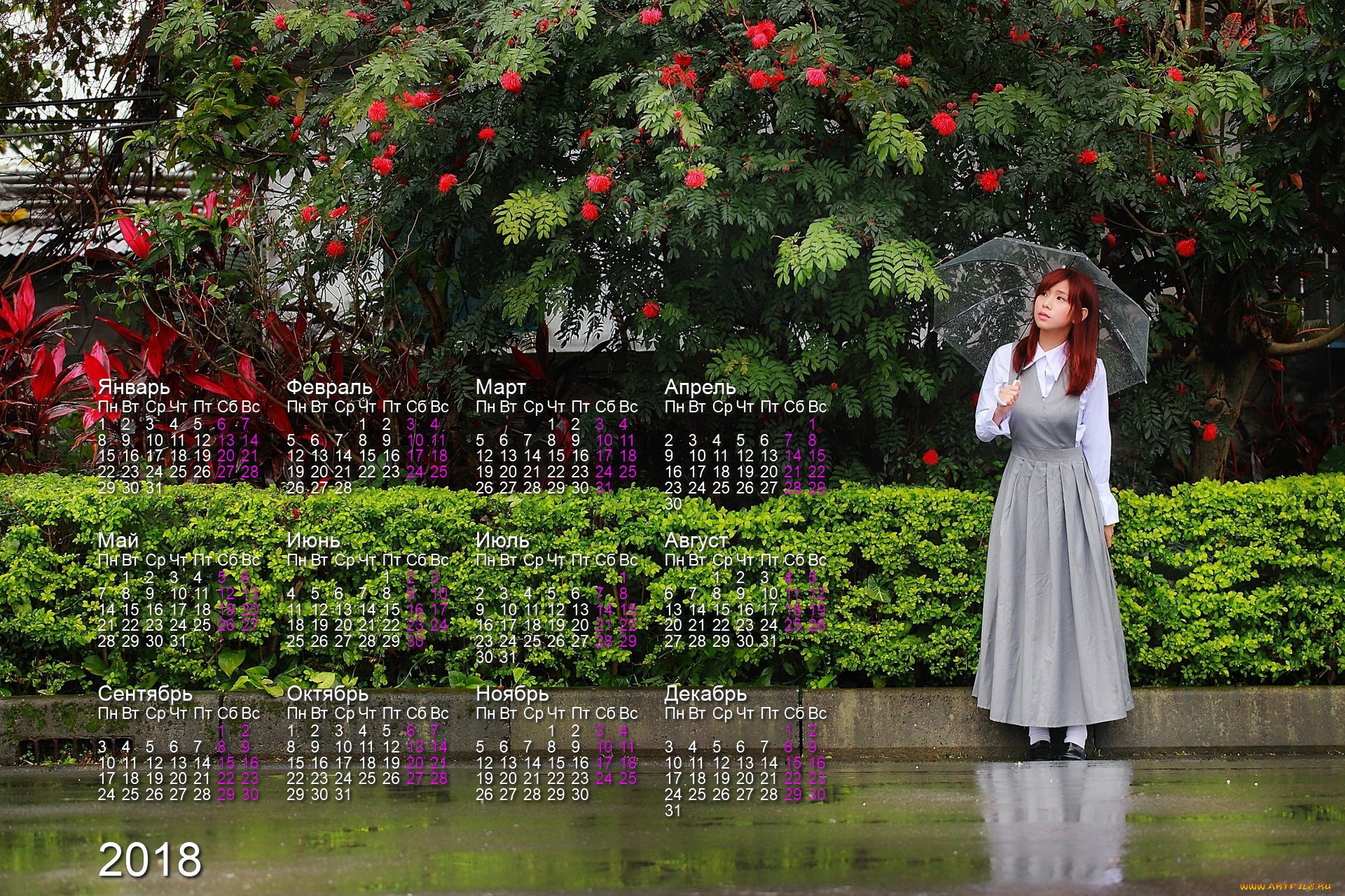 календари, девушки, зонт, азиатка, растения, дорога, деревья