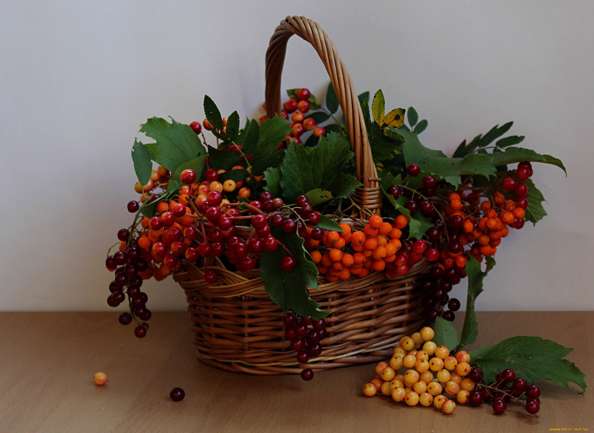 еда, рябина, ягоды, корзина, натюрморт, волчьи, калина, лето