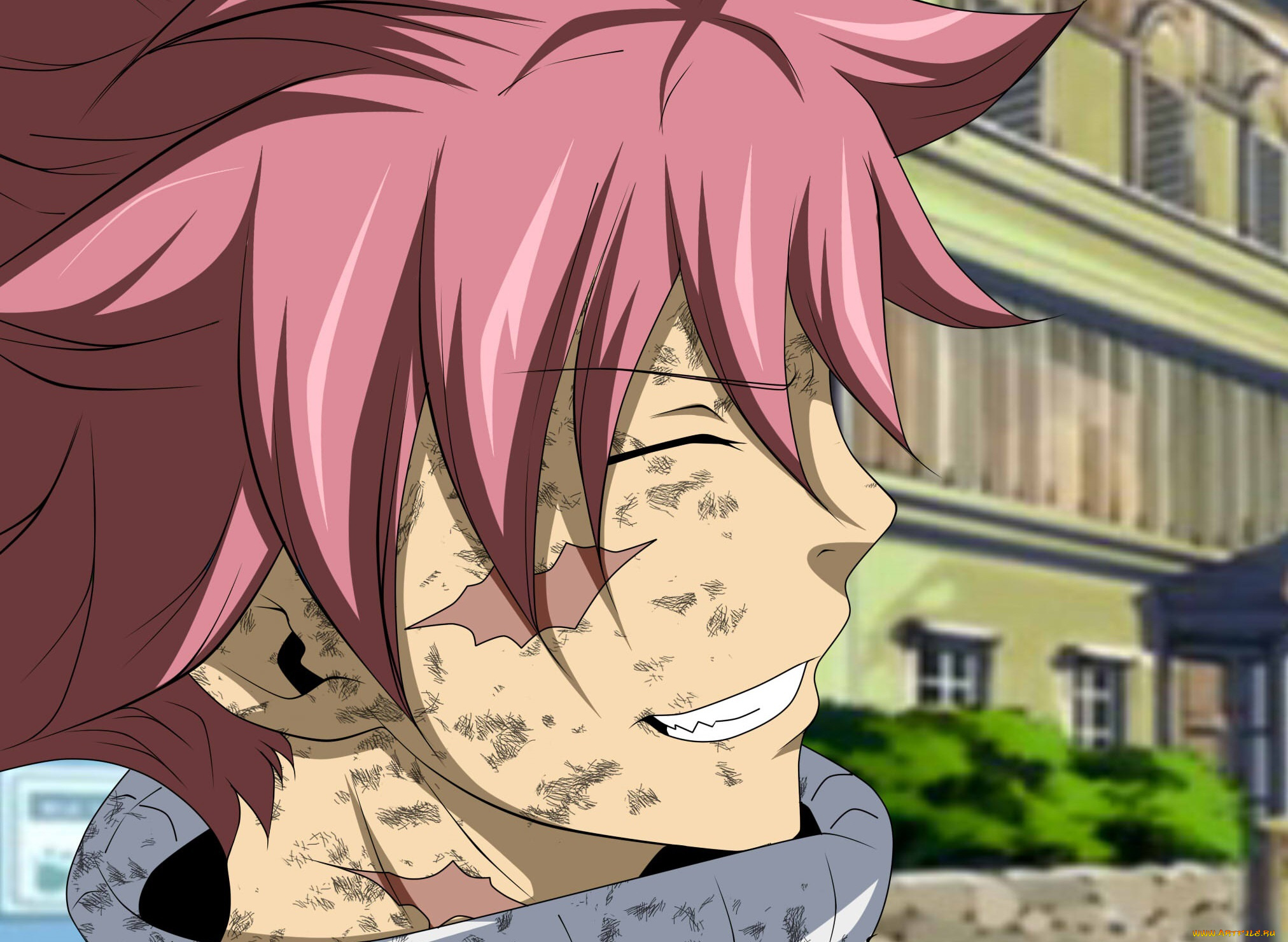 аниме, fairy, tail, хвост, феи