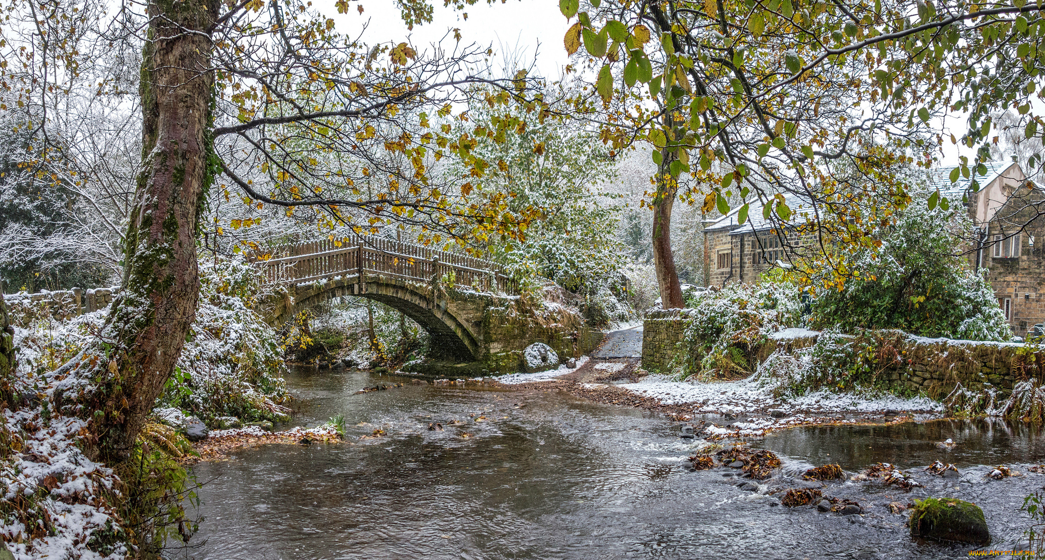 природа, реки, озера, простор