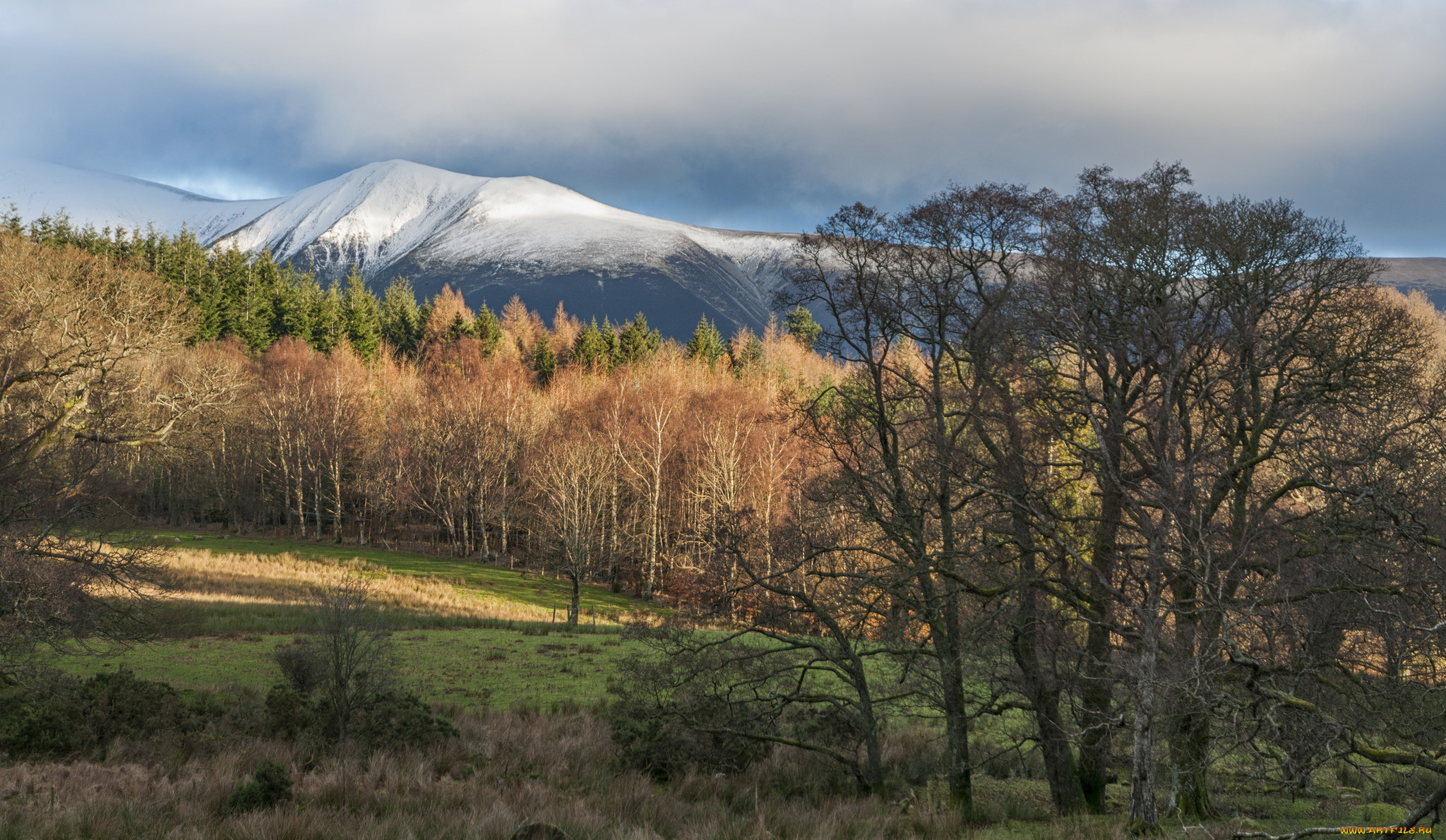 природа, пейзажи, простор