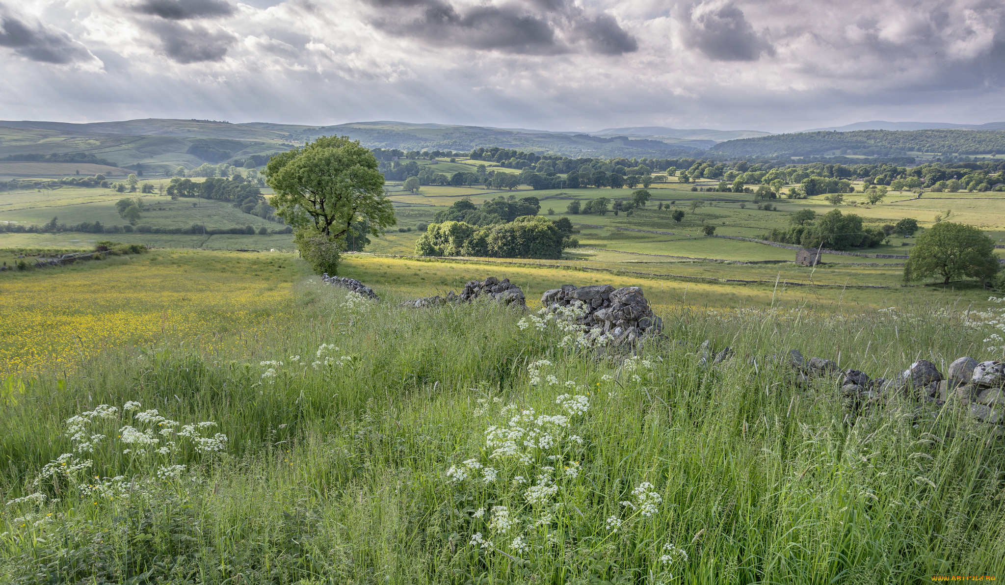 природа, пейзажи, простор