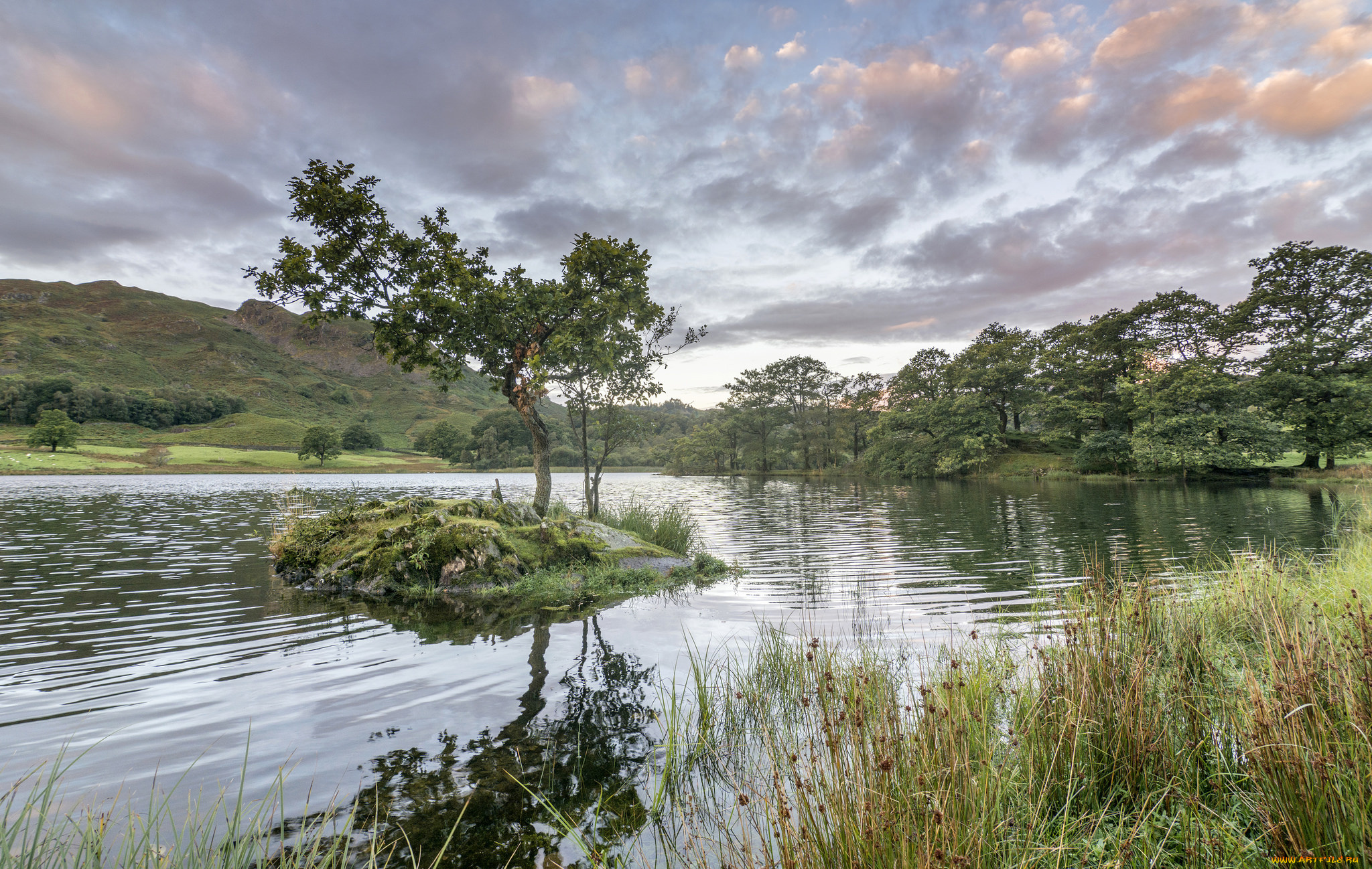 природа, реки, озера, простор