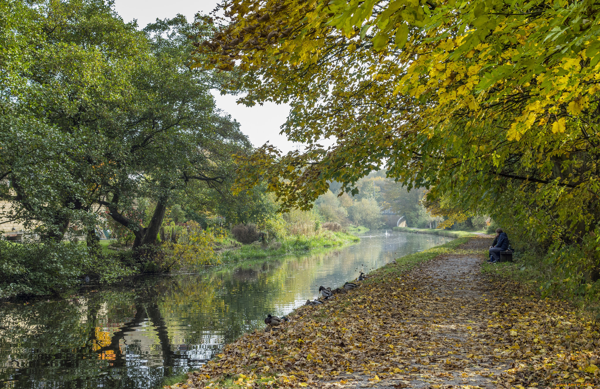 природа, реки, озера, простор