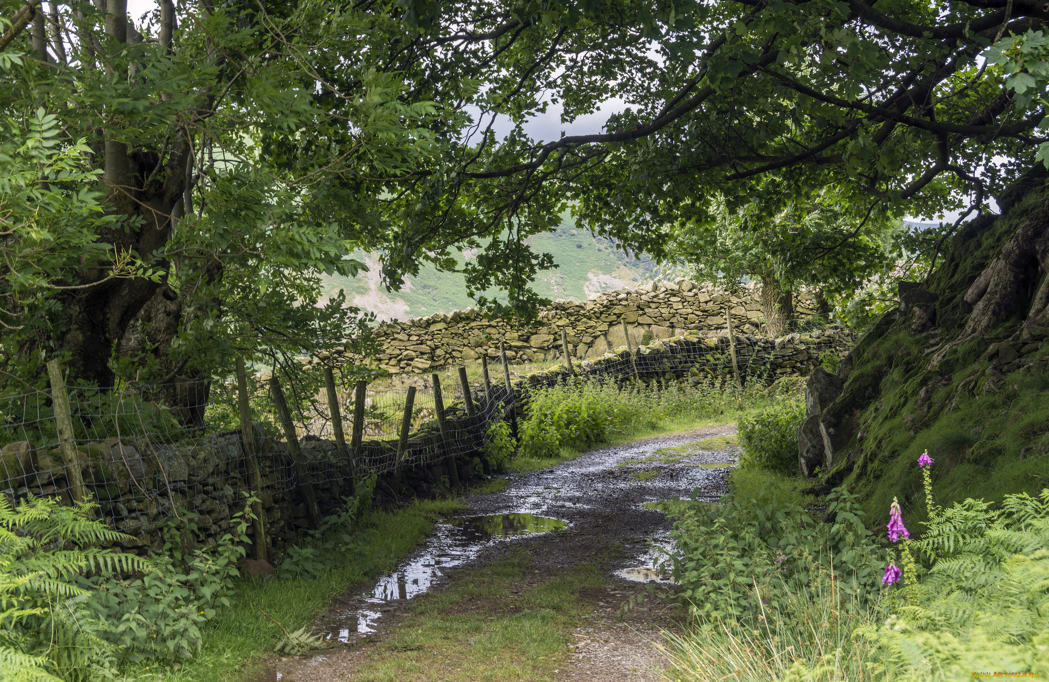 природа, дороги, простор