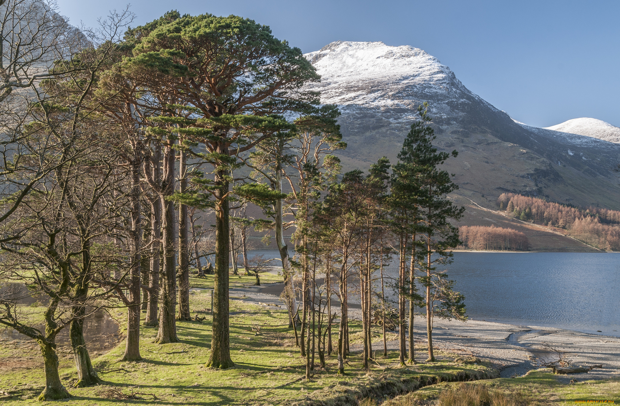 природа, реки, озера, простор