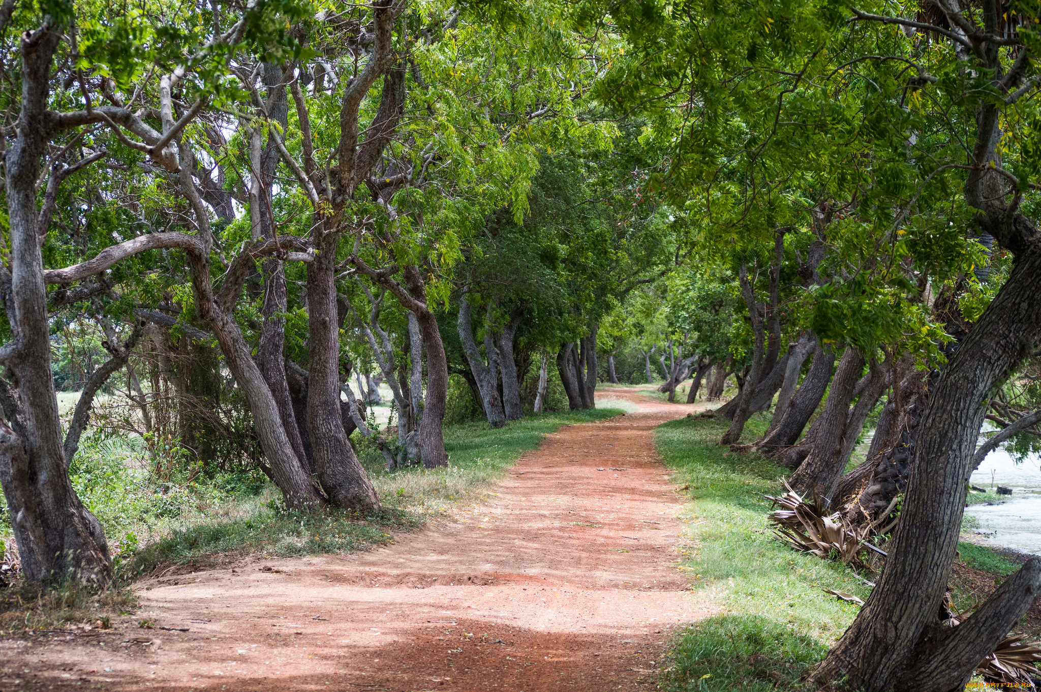 природа, дороги, простор