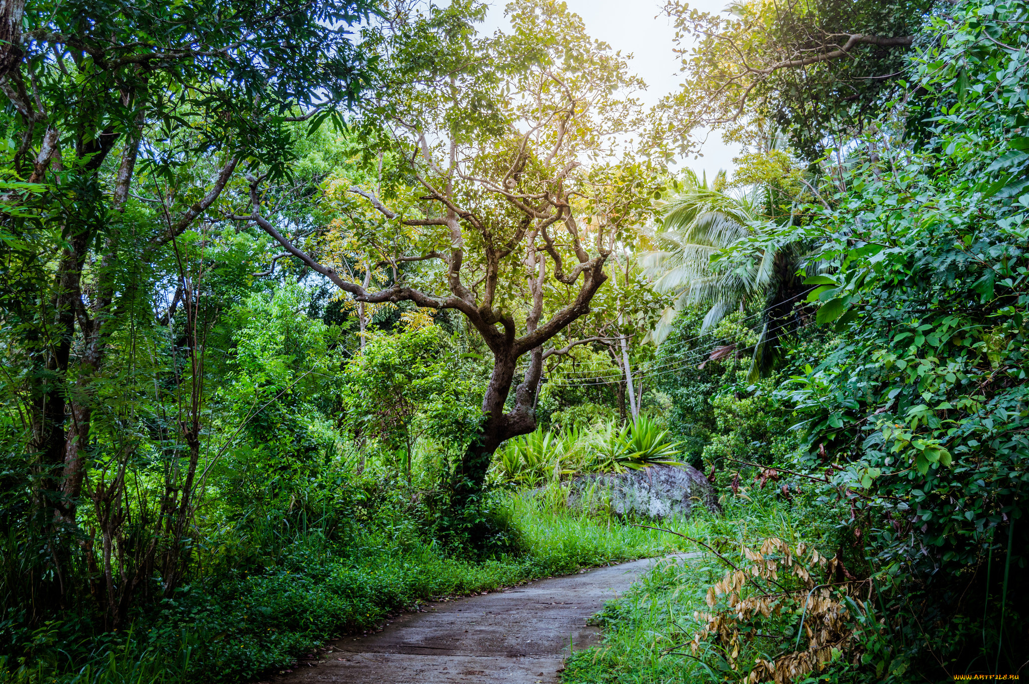 природа, дороги, простор