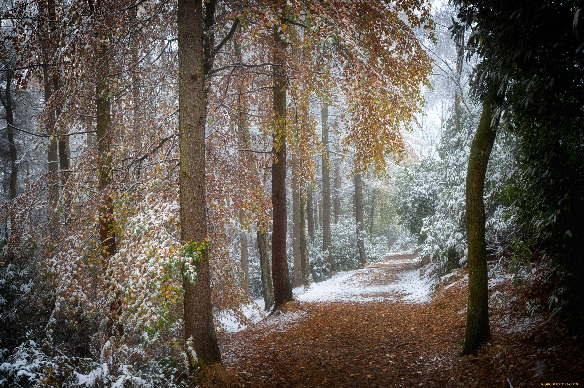 природа, дороги, простор