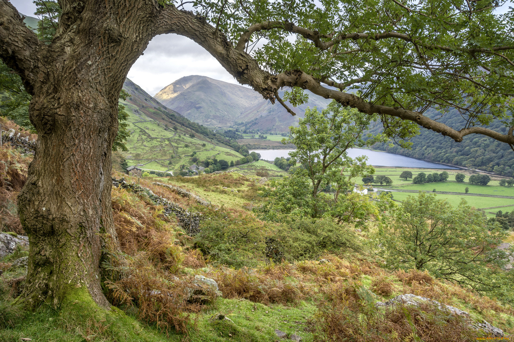 природа, пейзажи, простор