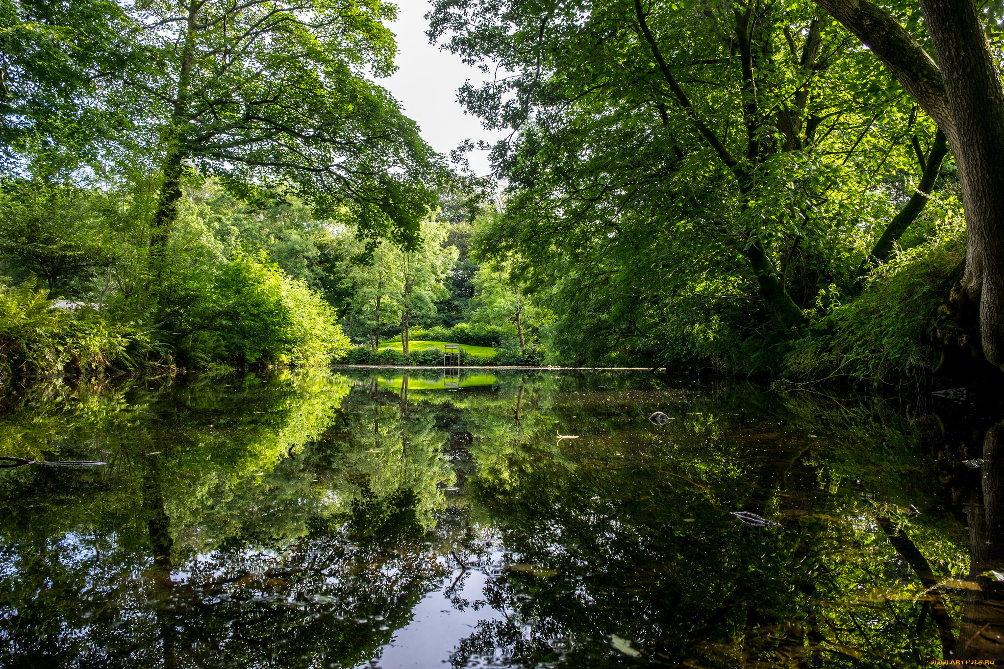 природа, реки, озера, простор