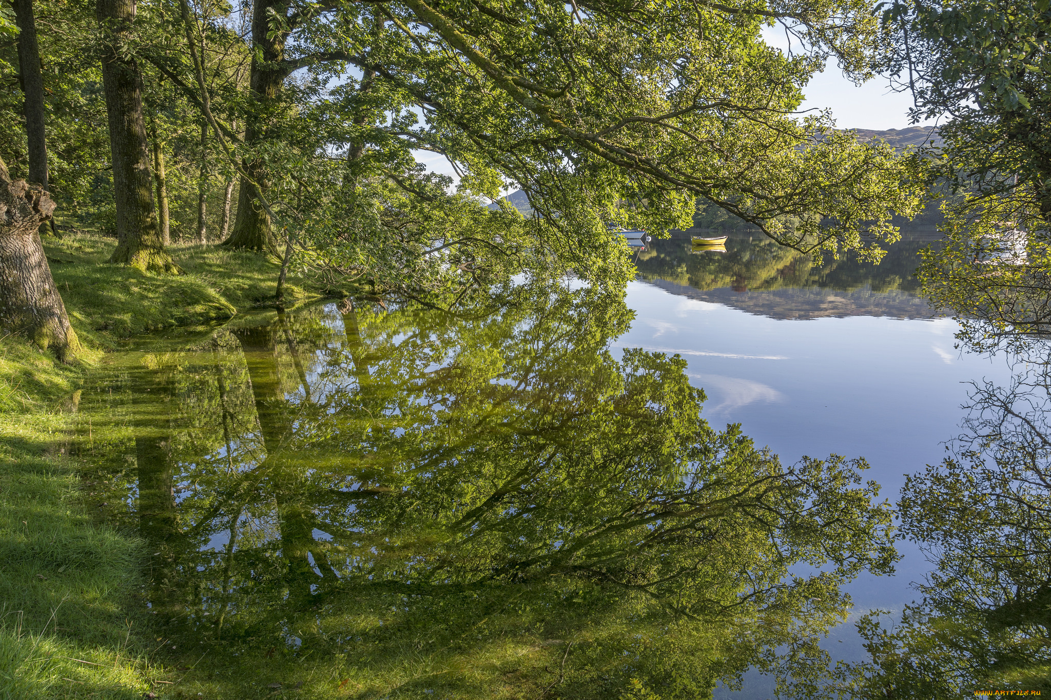 природа, реки, озера, простор