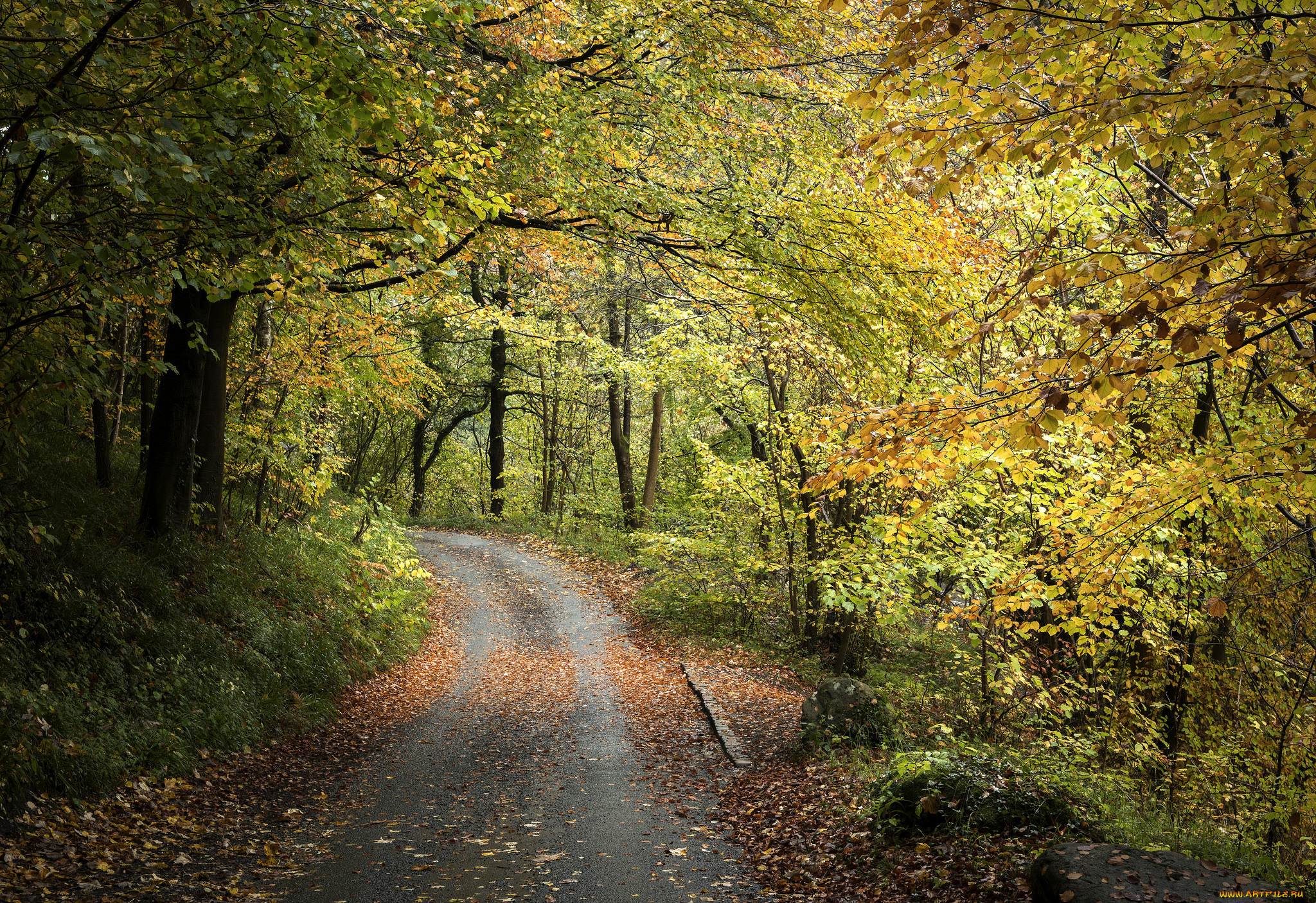 природа, дороги, простор