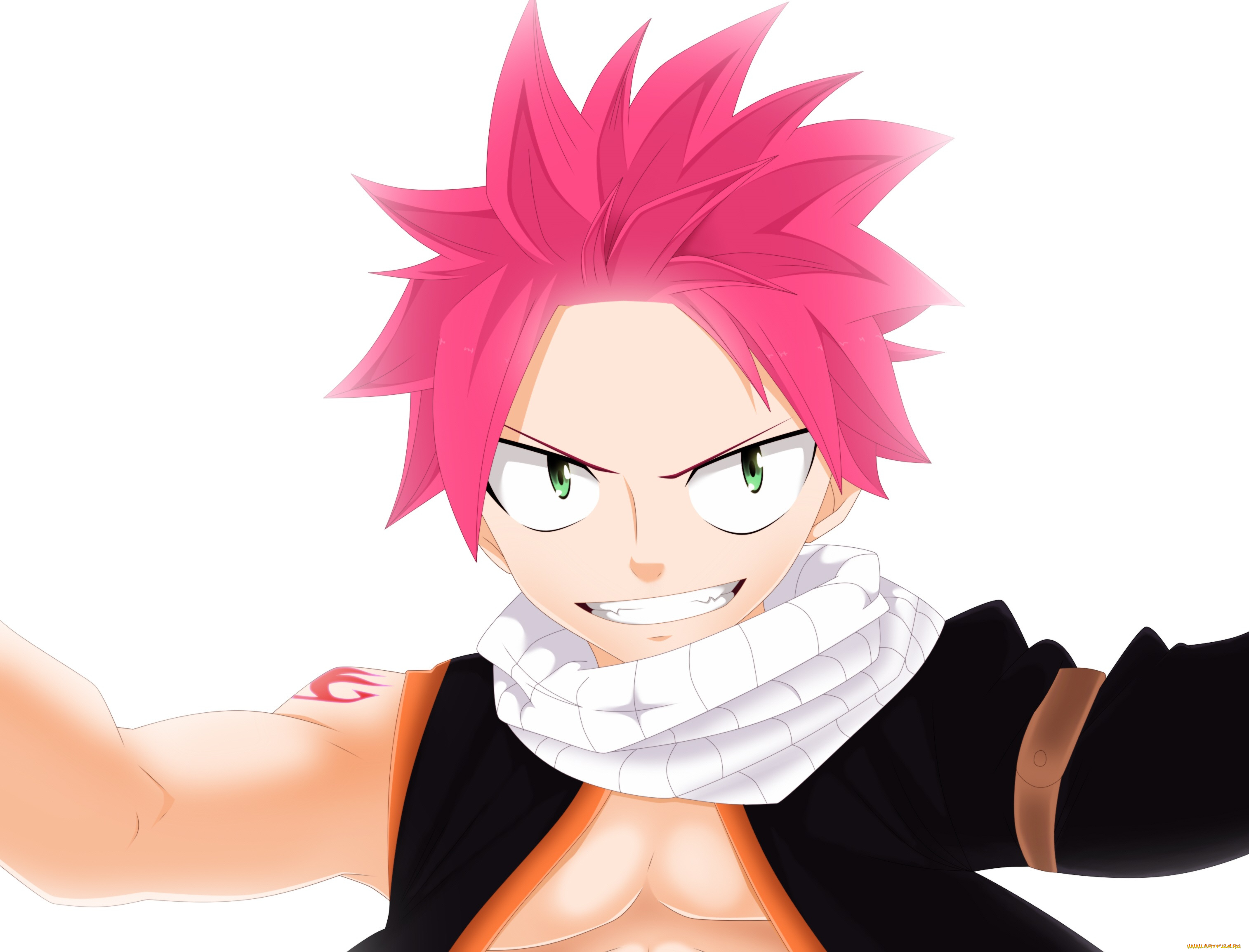 аниме, fairy, tail, хвост, феи