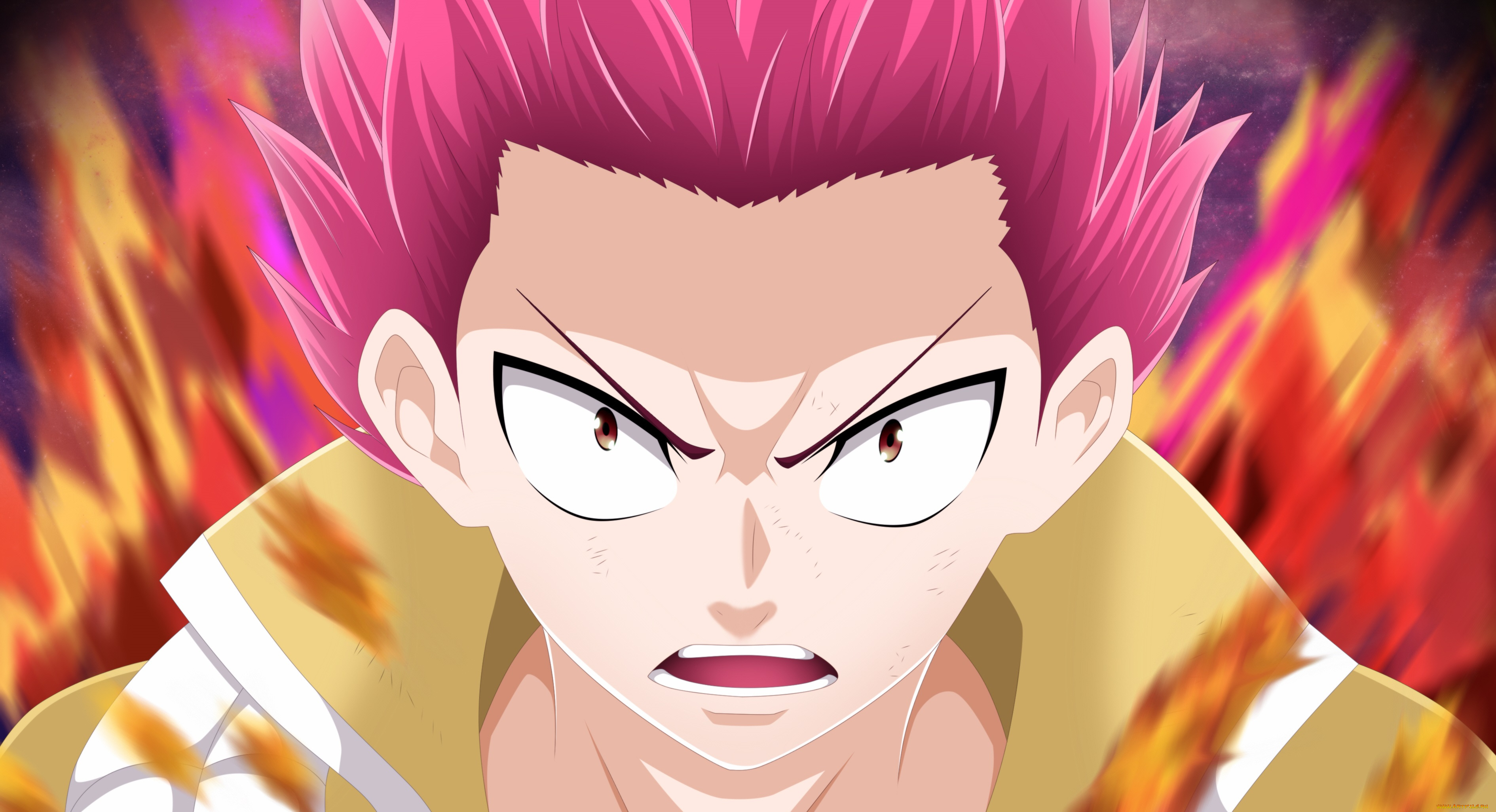 аниме, fairy, tail, хвост, феи