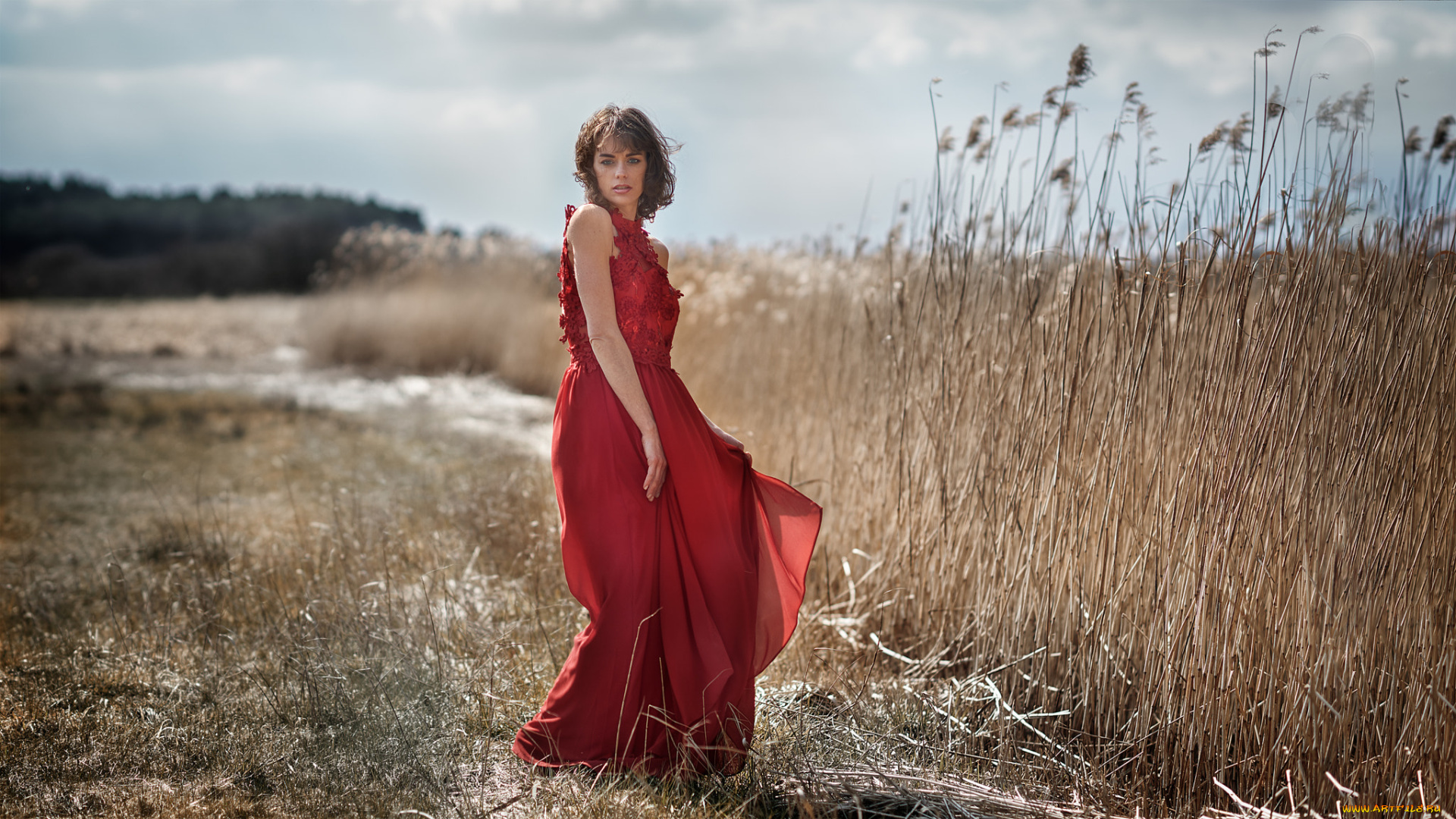 девушка, девушки, -unsort, , брюнетки, темноволосые, модель