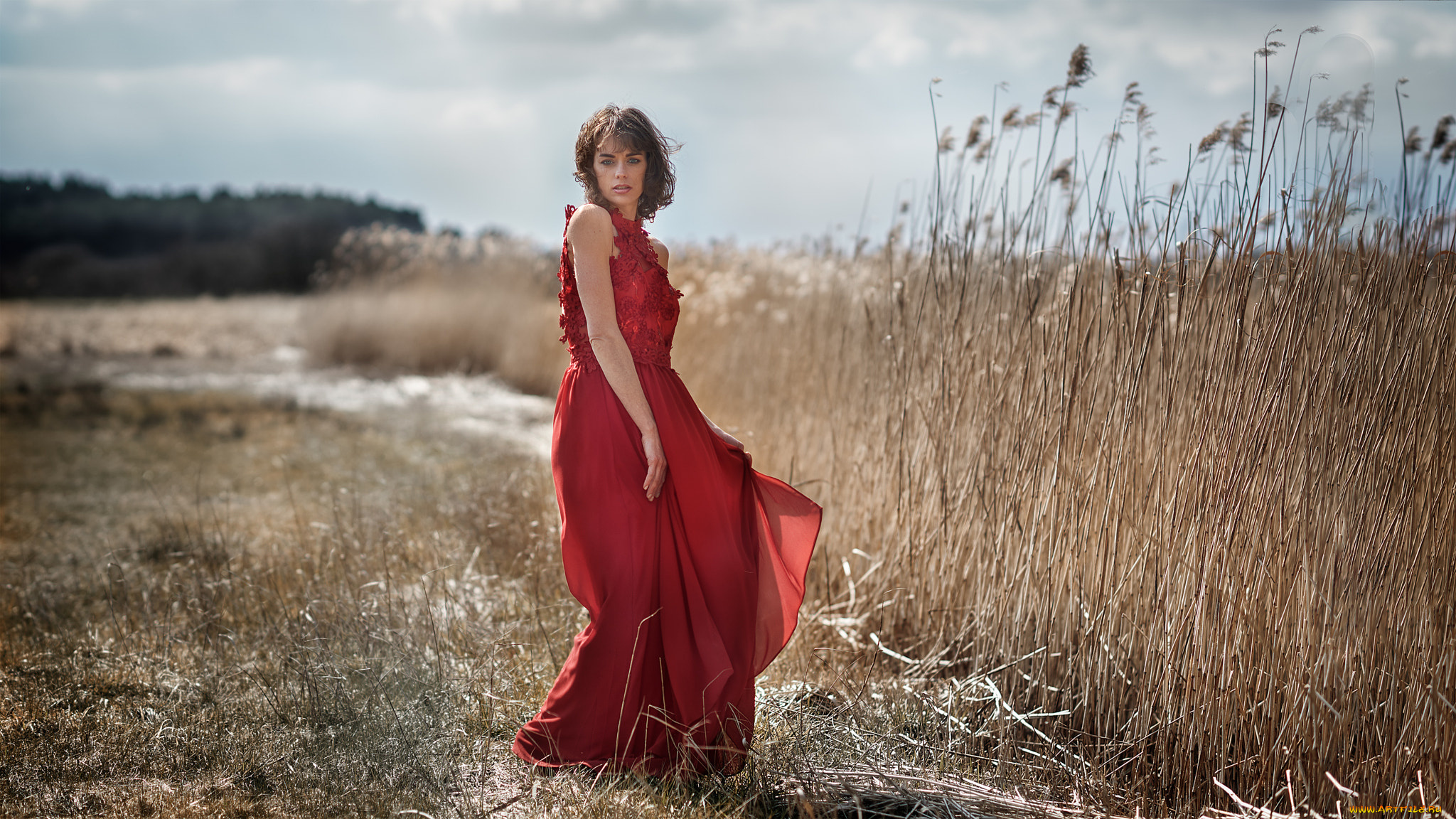 девушка, девушки, -unsort, , брюнетки, темноволосые, модель