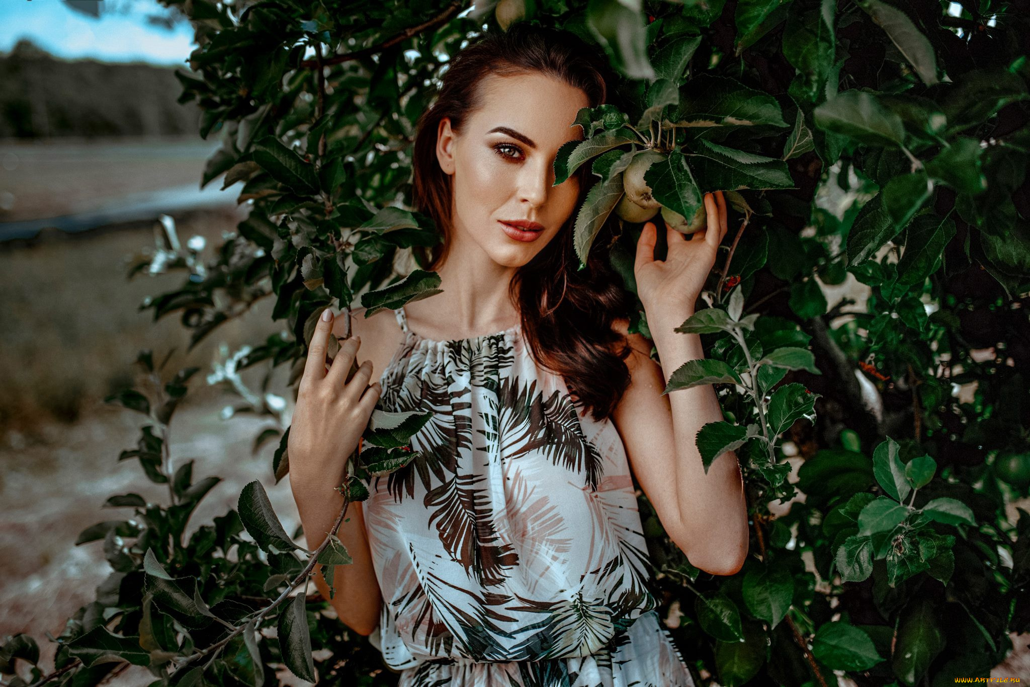 девушка, девушки, -unsort, , брюнетки, темноволосые, модель