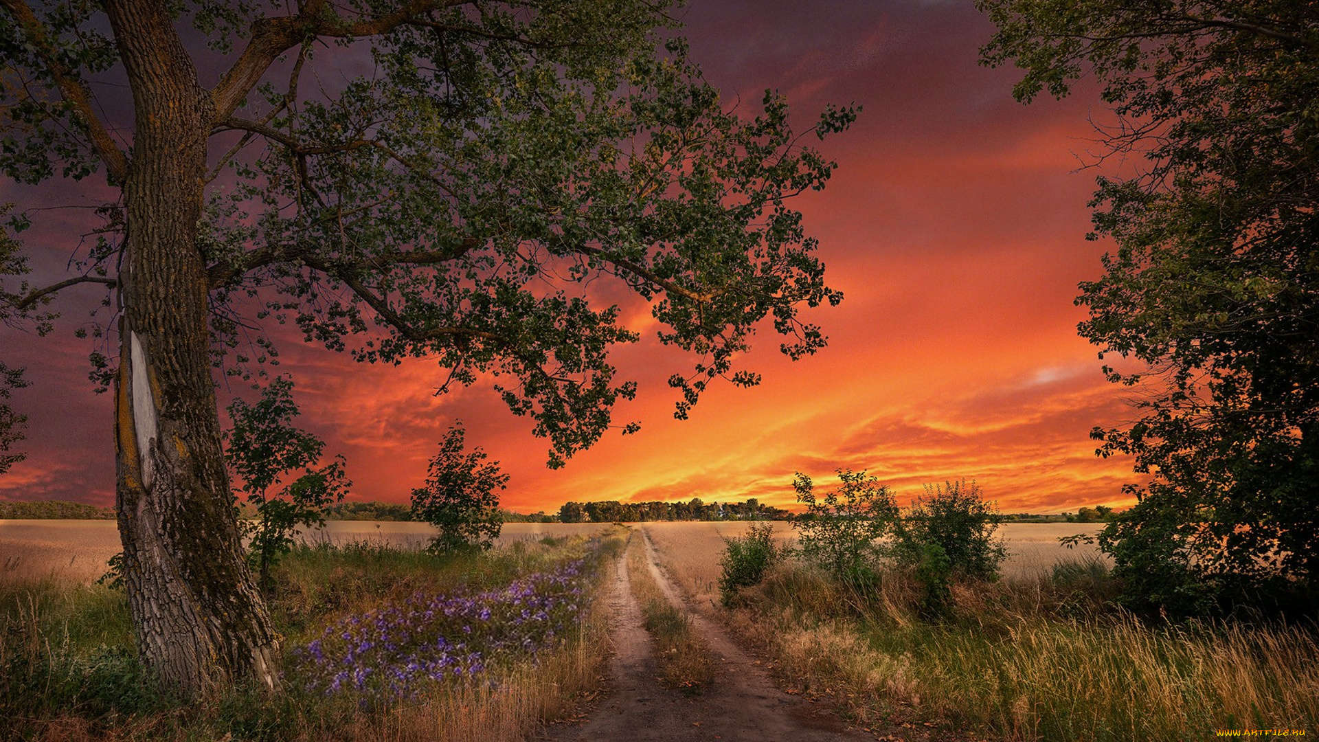 природа, дороги, простор