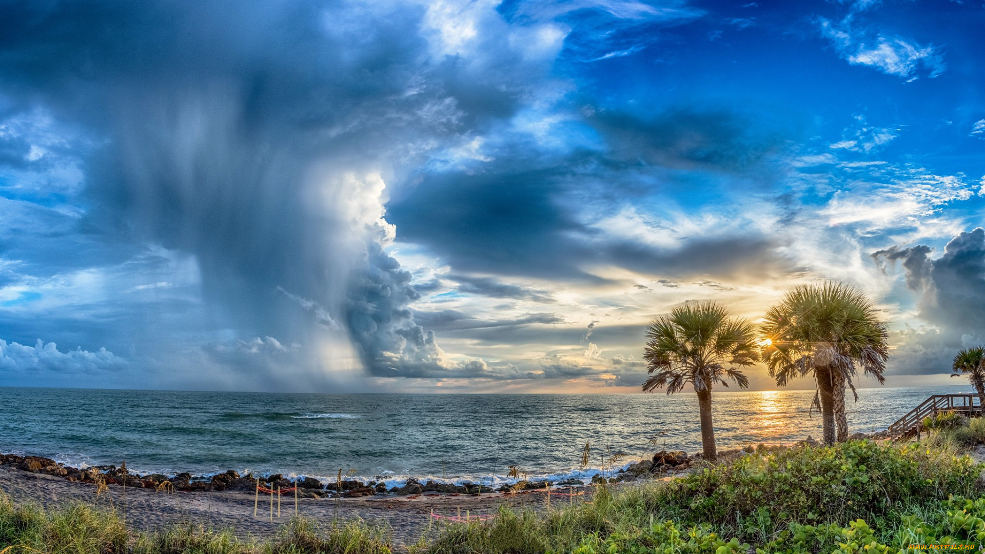 природа, тропики, простор