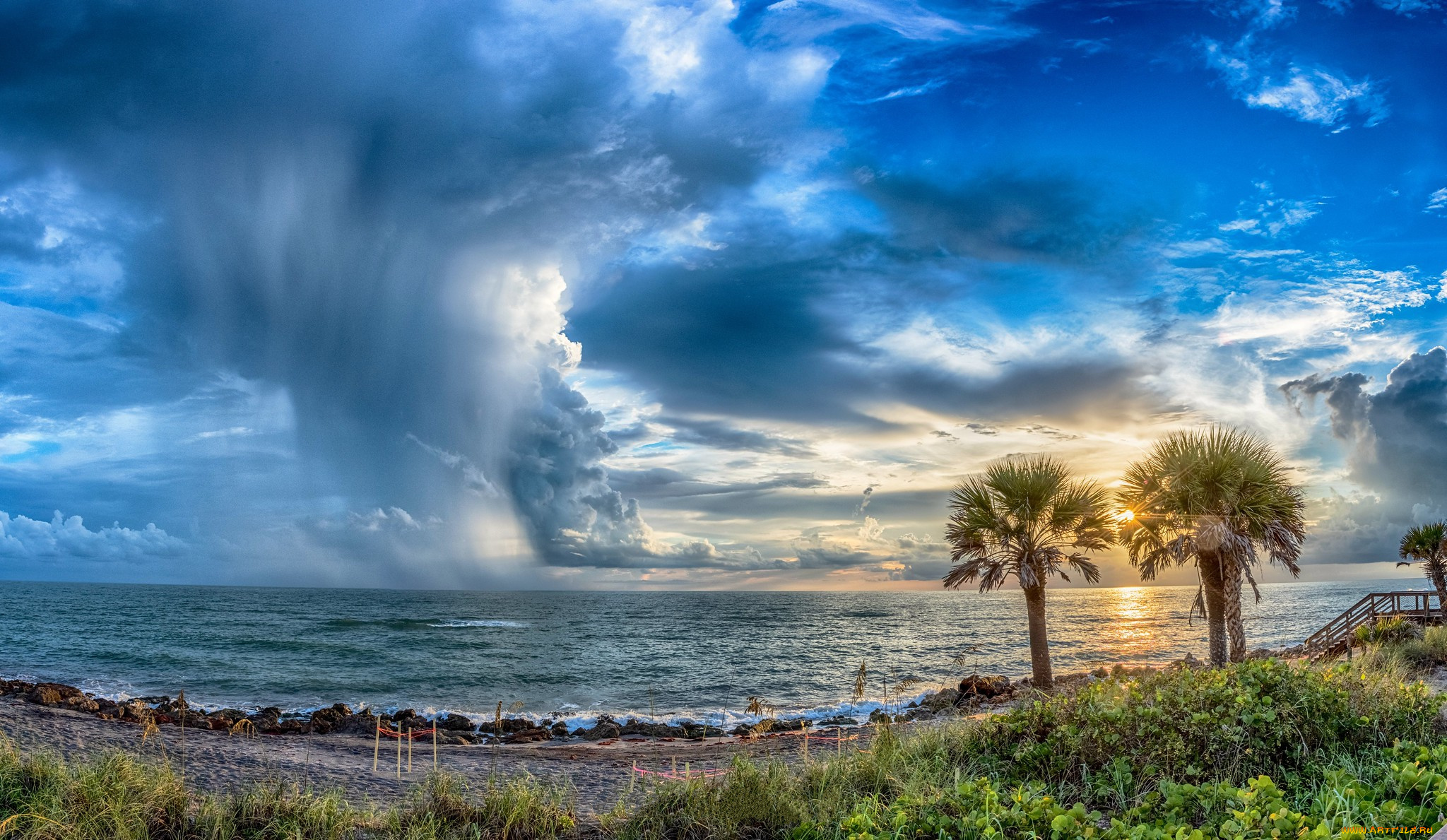 природа, тропики, простор