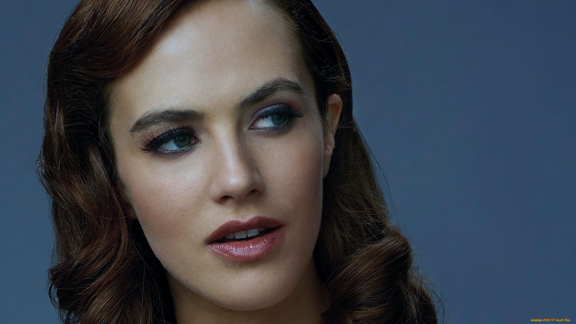 девушки, -, лица, , портреты, шатенка, лицо, jessica, brown, findlay