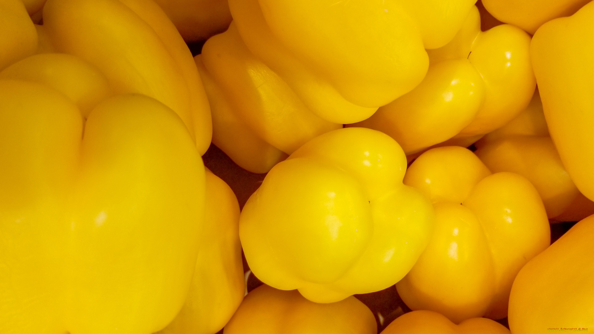 еда, перец, желтый