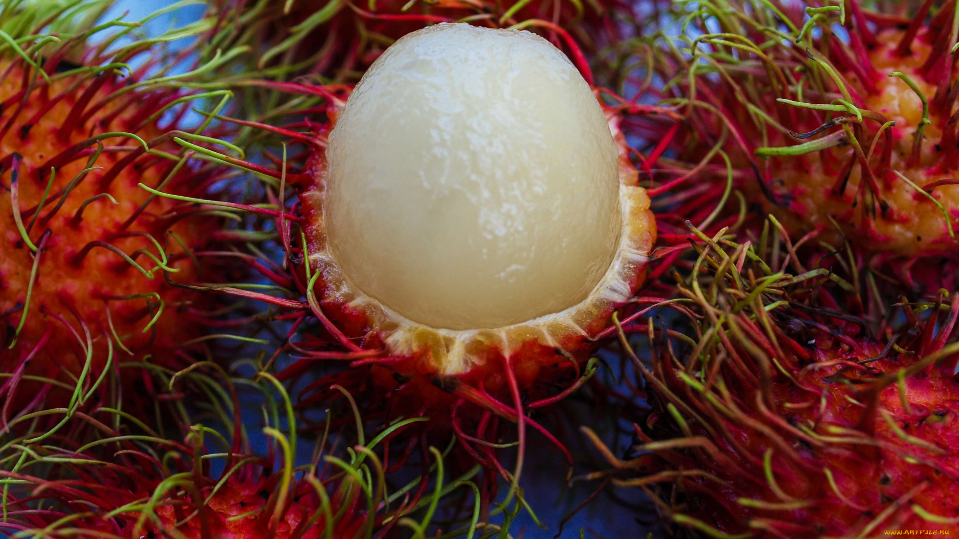 еда, рамбутан, экзотический, фрукт