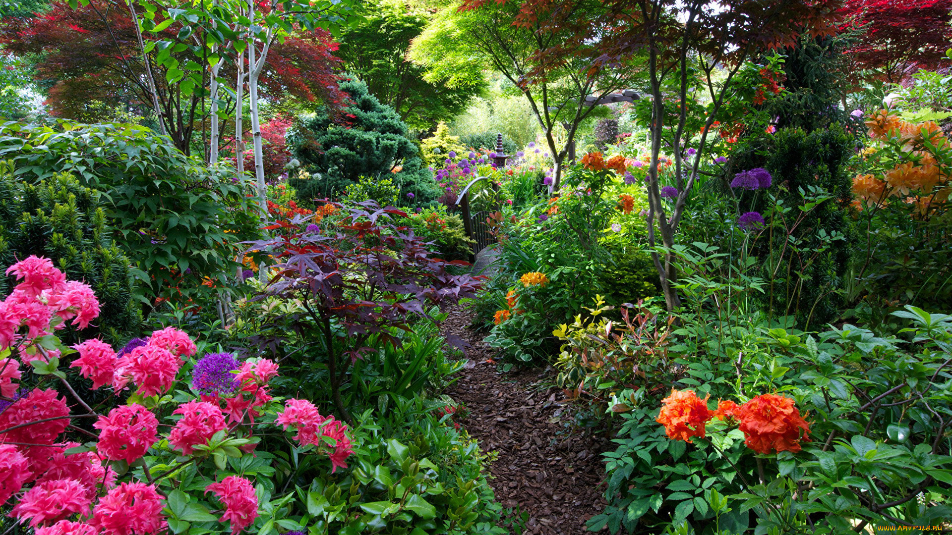 природа, парк, весна, кусты, цветы