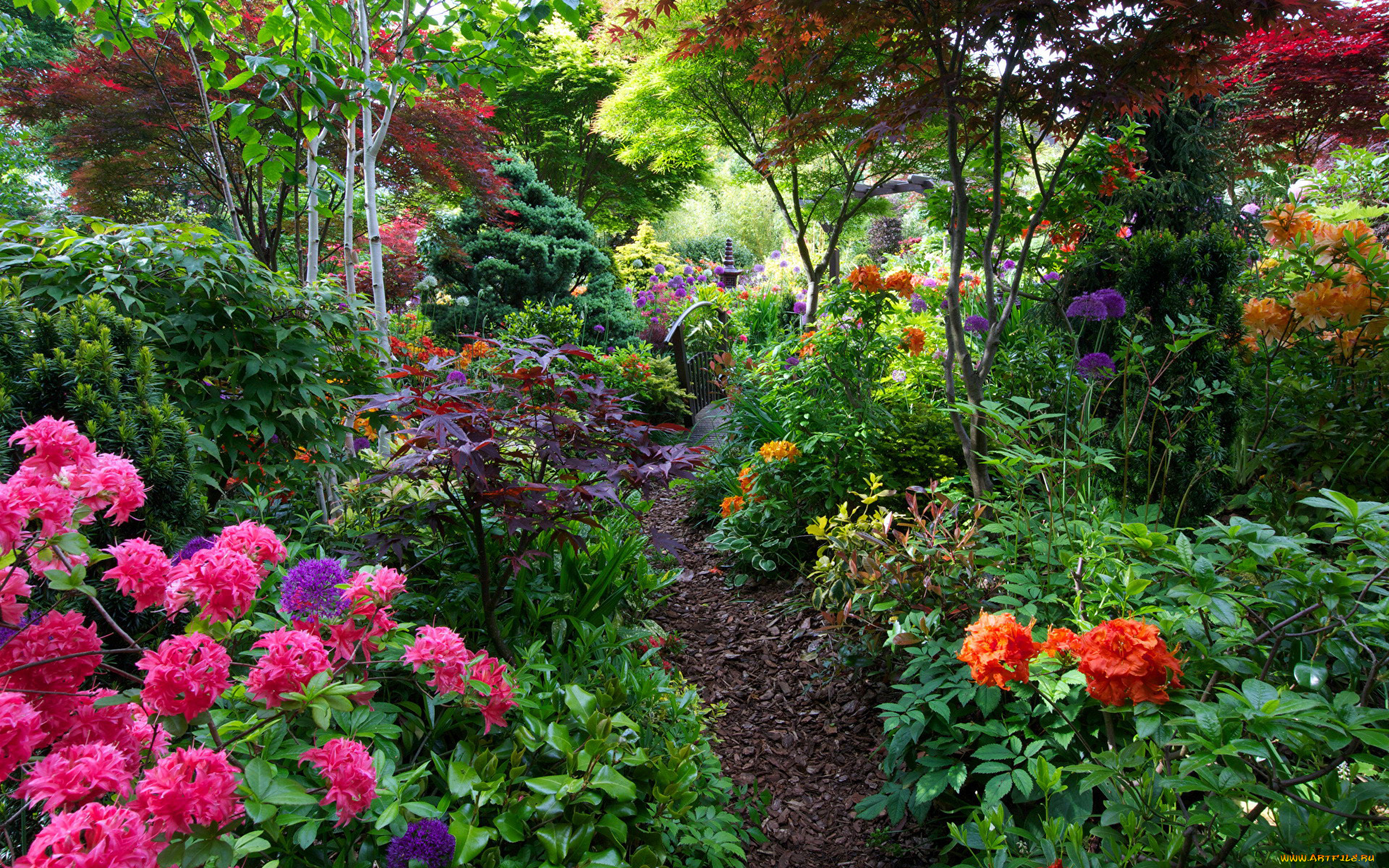 природа, парк, весна, кусты, цветы