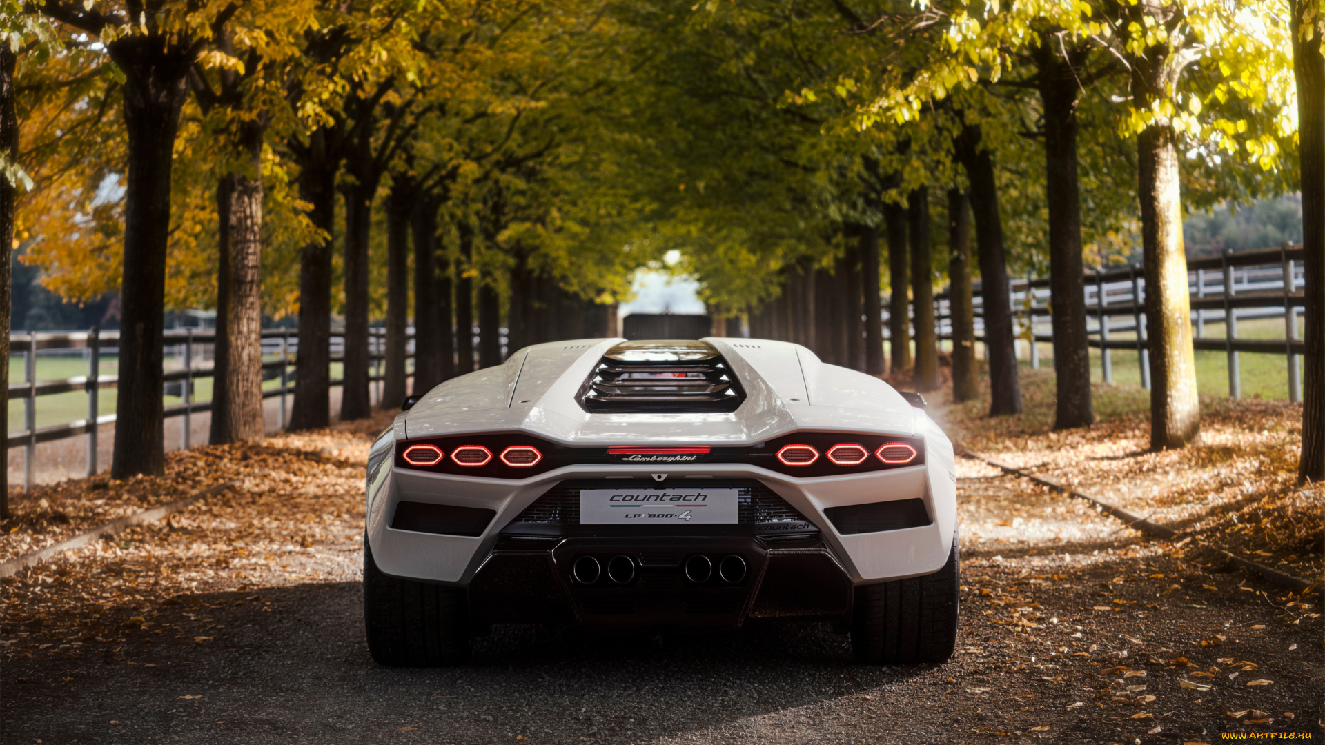 автомобили, lamborghini