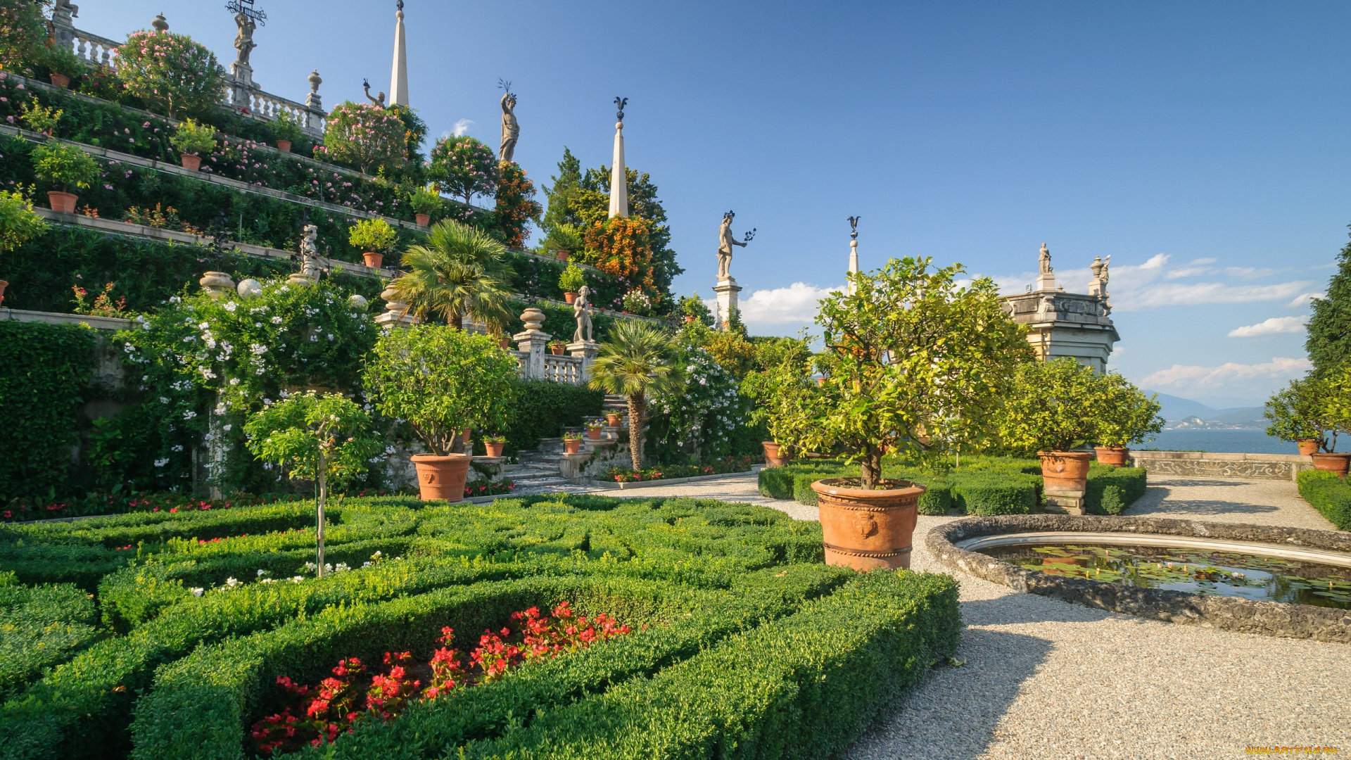 природа, парк, клумбы, деревья, кусты