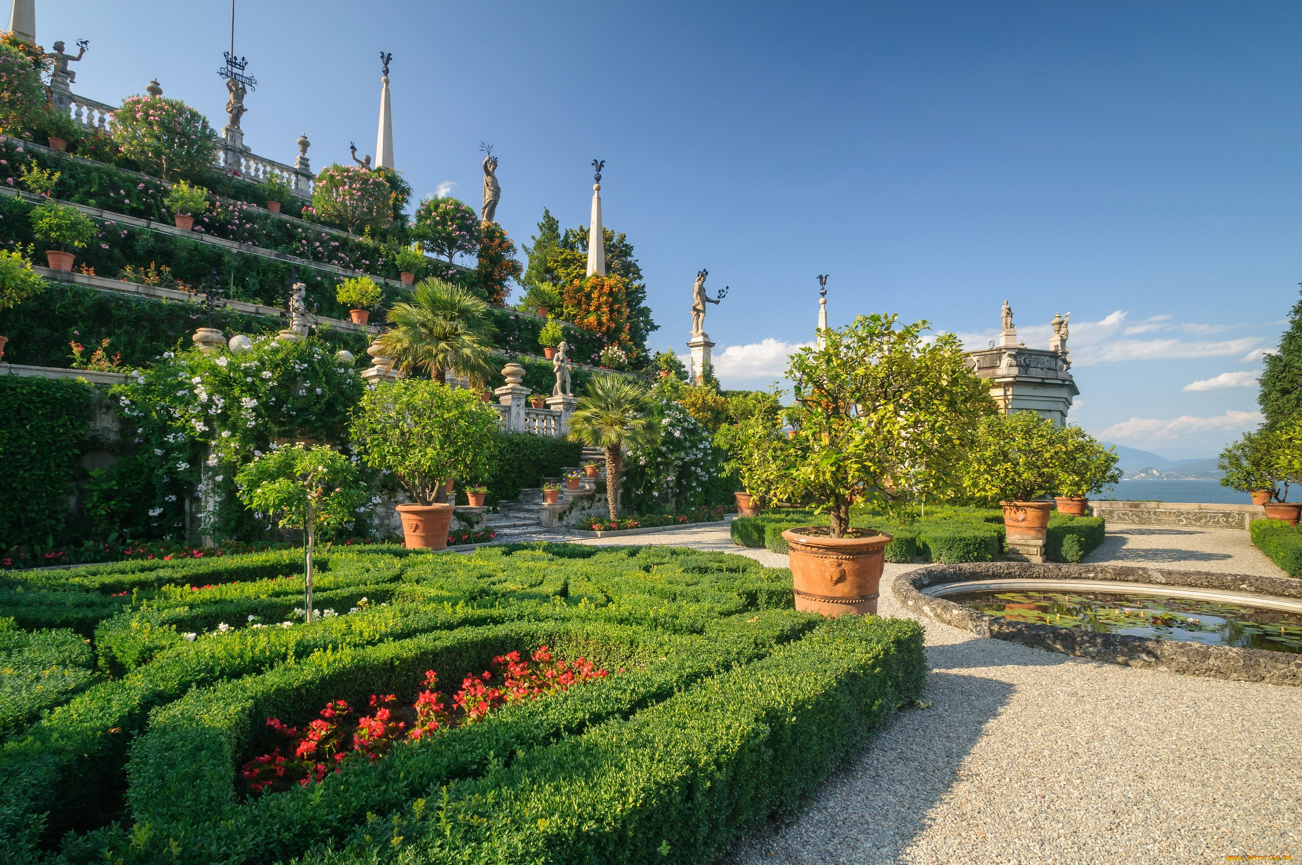 природа, парк, клумбы, деревья, кусты