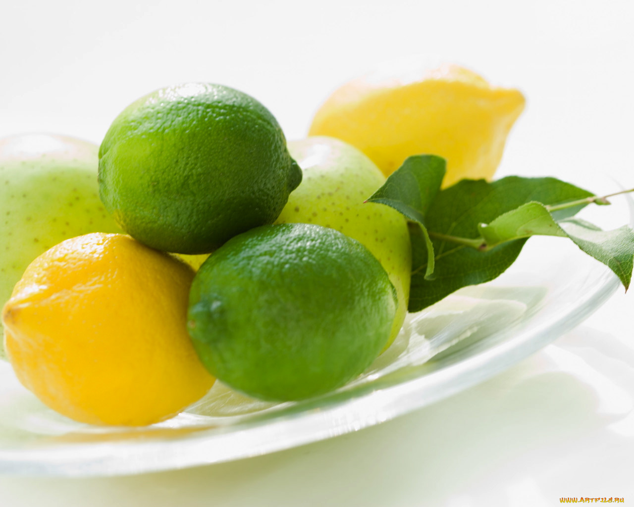 еда, цитрусы