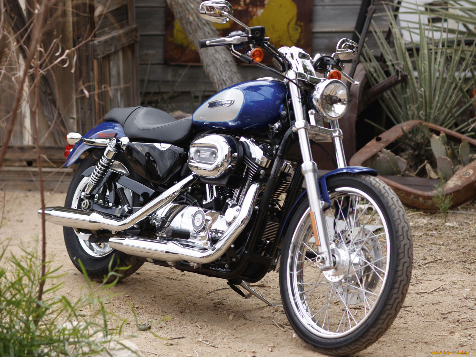 мотоциклы, harley, davidson