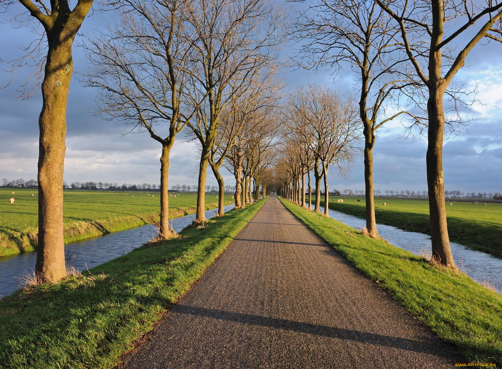 природа, дороги, вода, поле, деревья