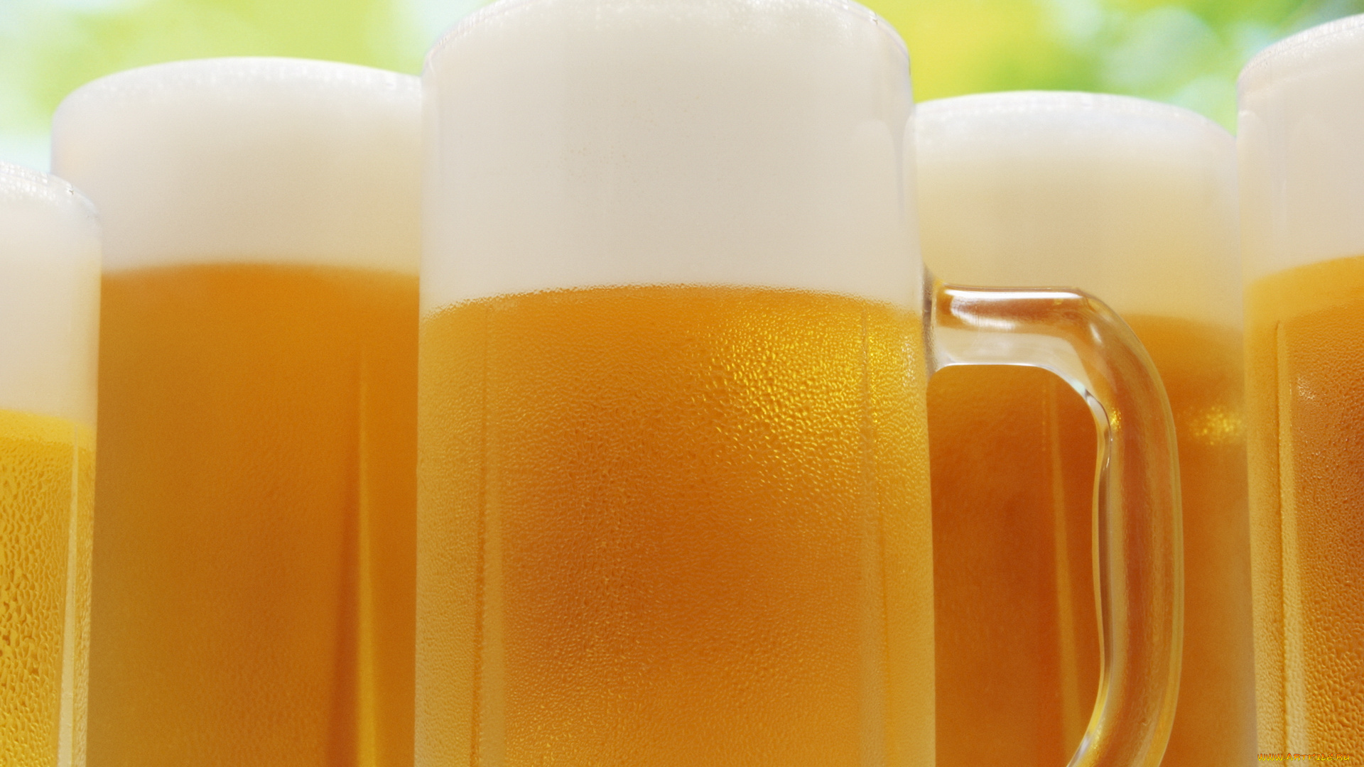 еда, напитки, пиво, бокал, пена