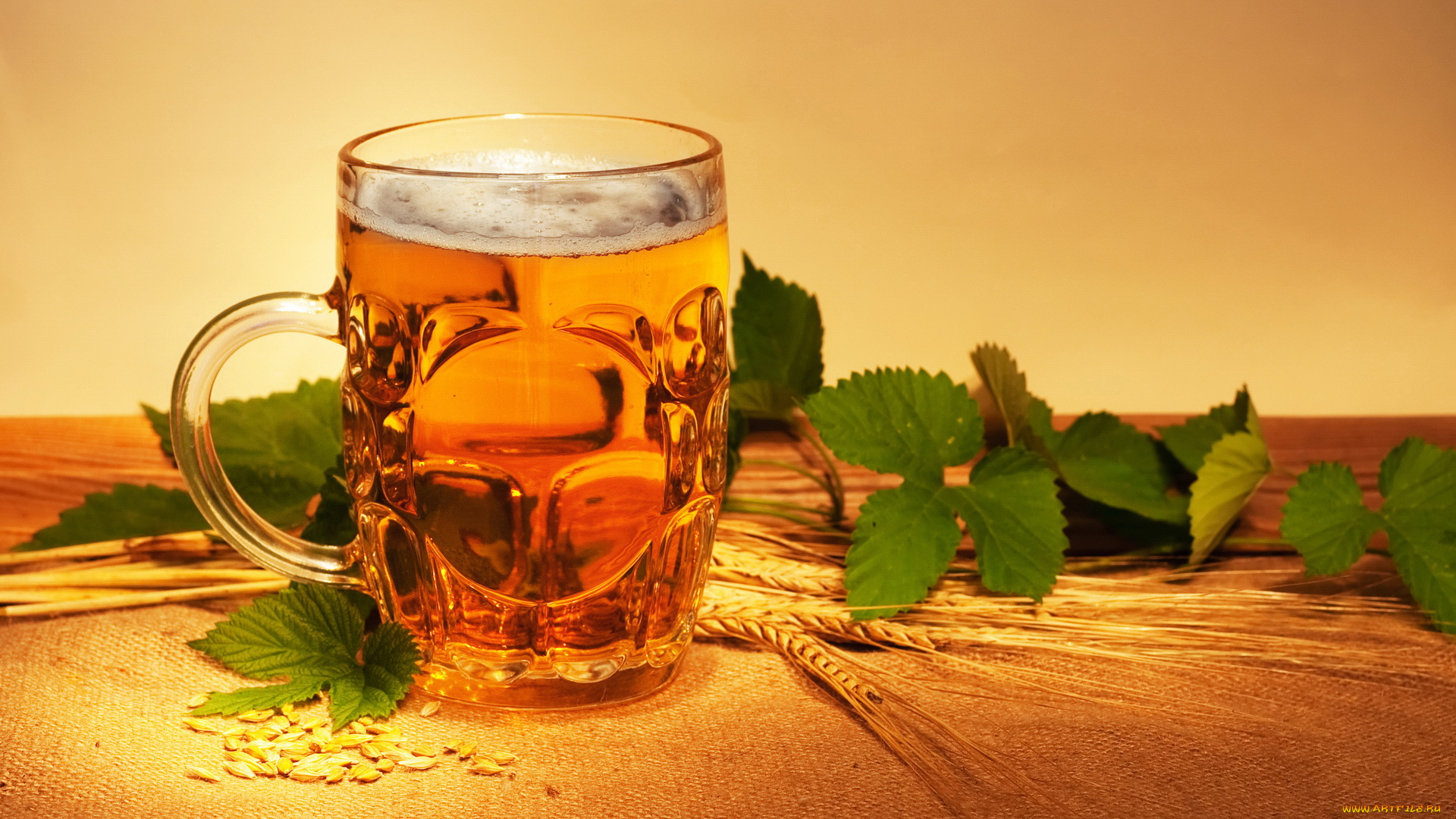 еда, напитки, пиво, пена, бокал