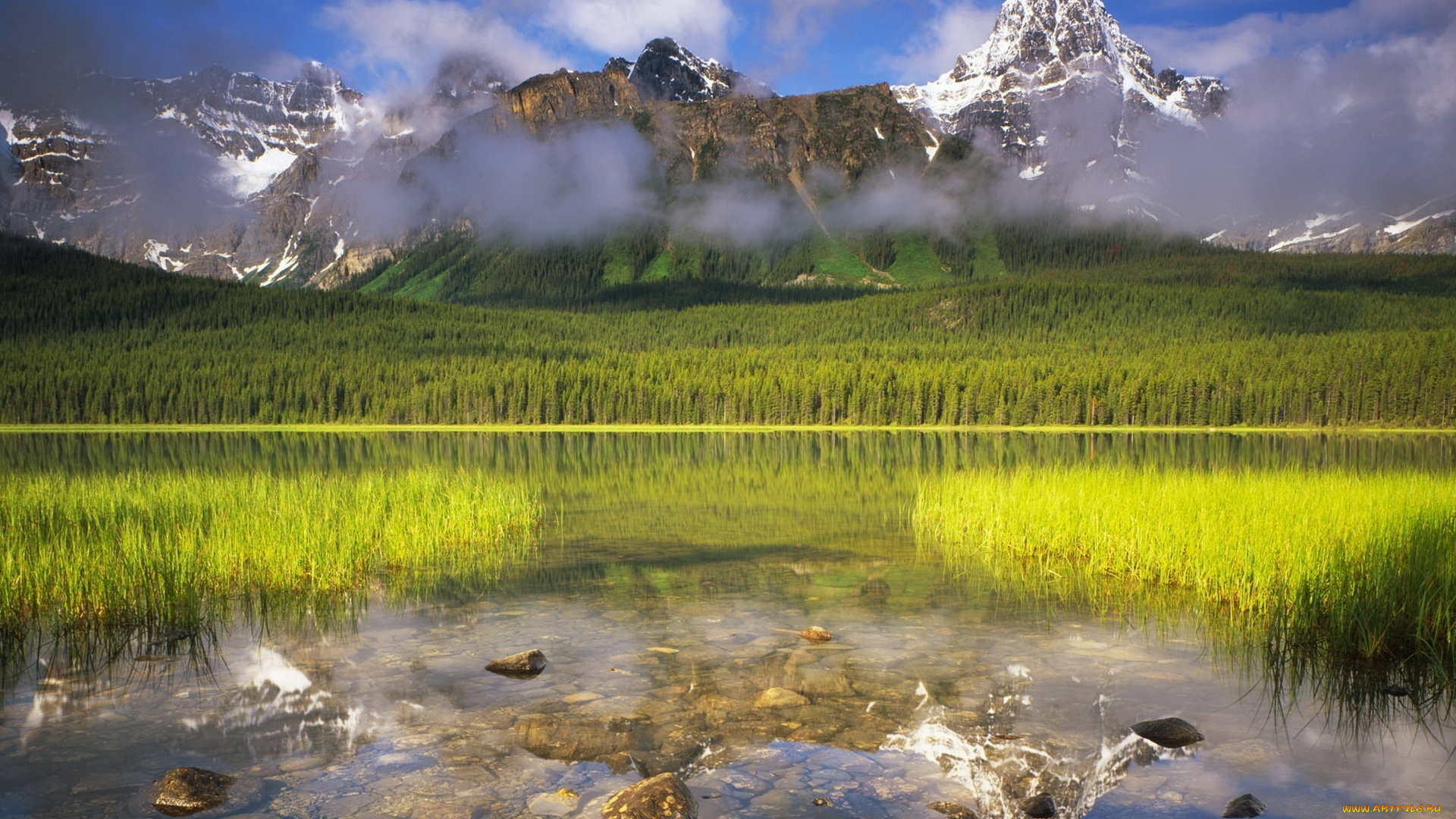 природа, пейзажи, озеро, лес, дымка, над, водой