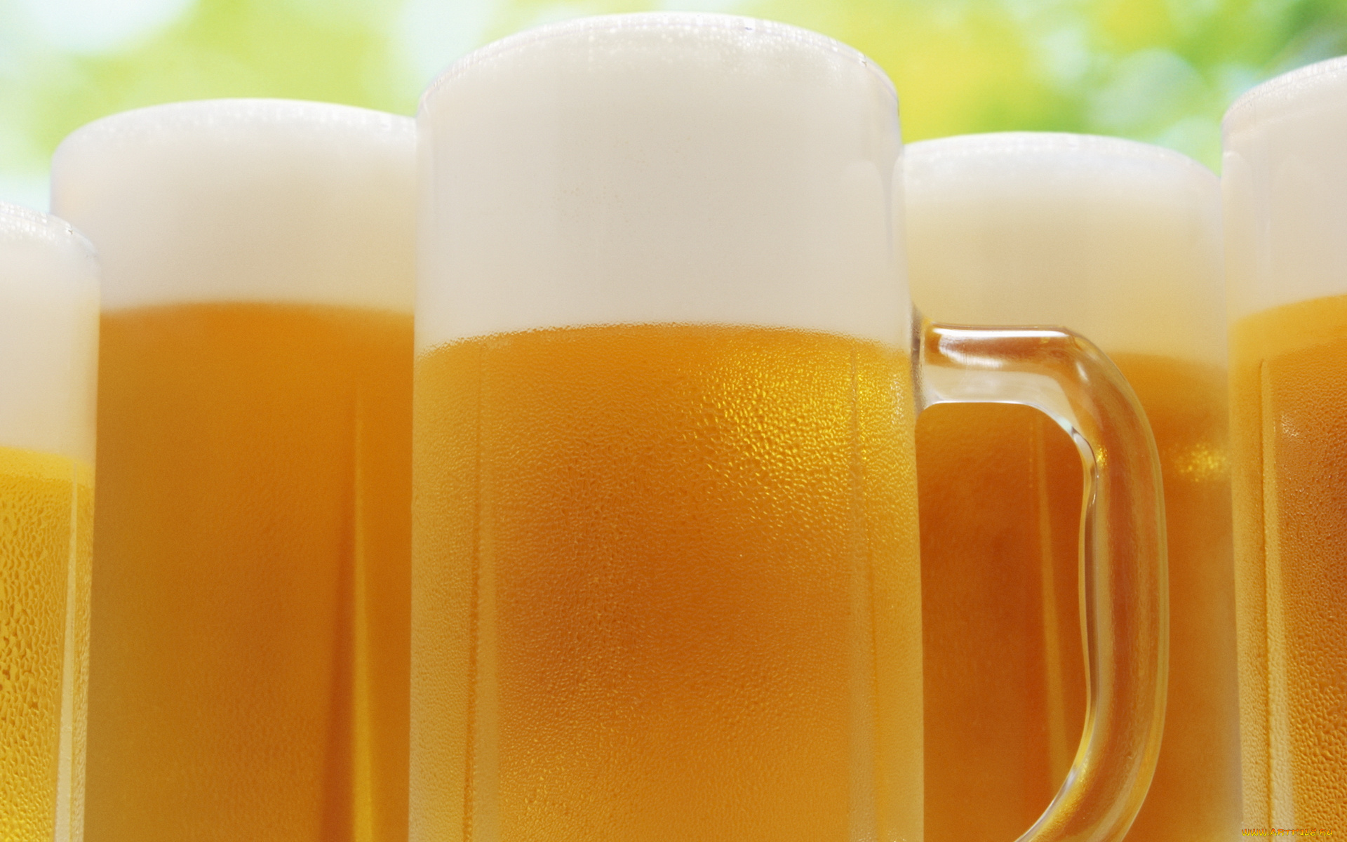 еда, напитки, пиво, бокал, пена