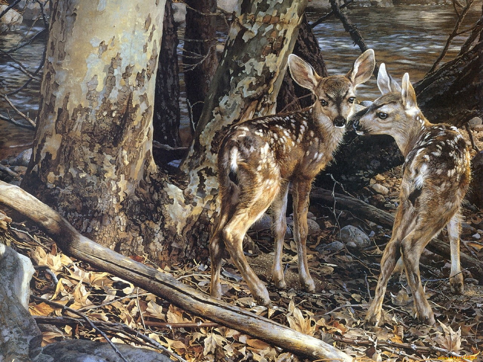 рисованные, carl, brenders