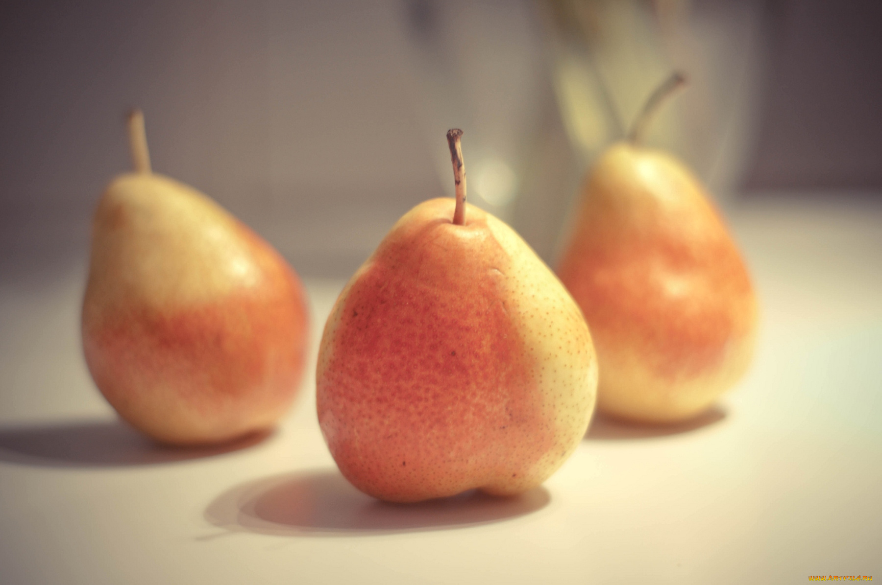 еда, груши, аппетитный, осенний