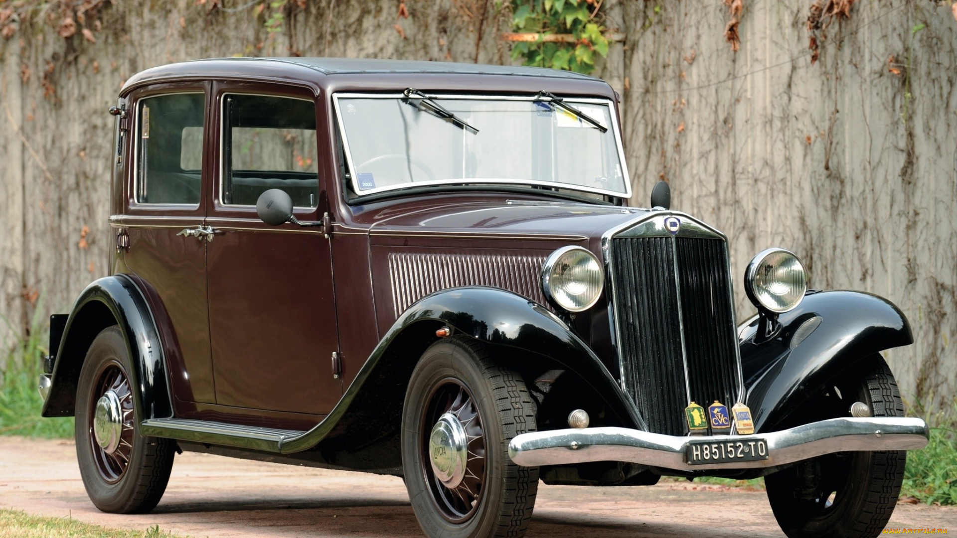 автомобили, классика, растения, дорога, стена