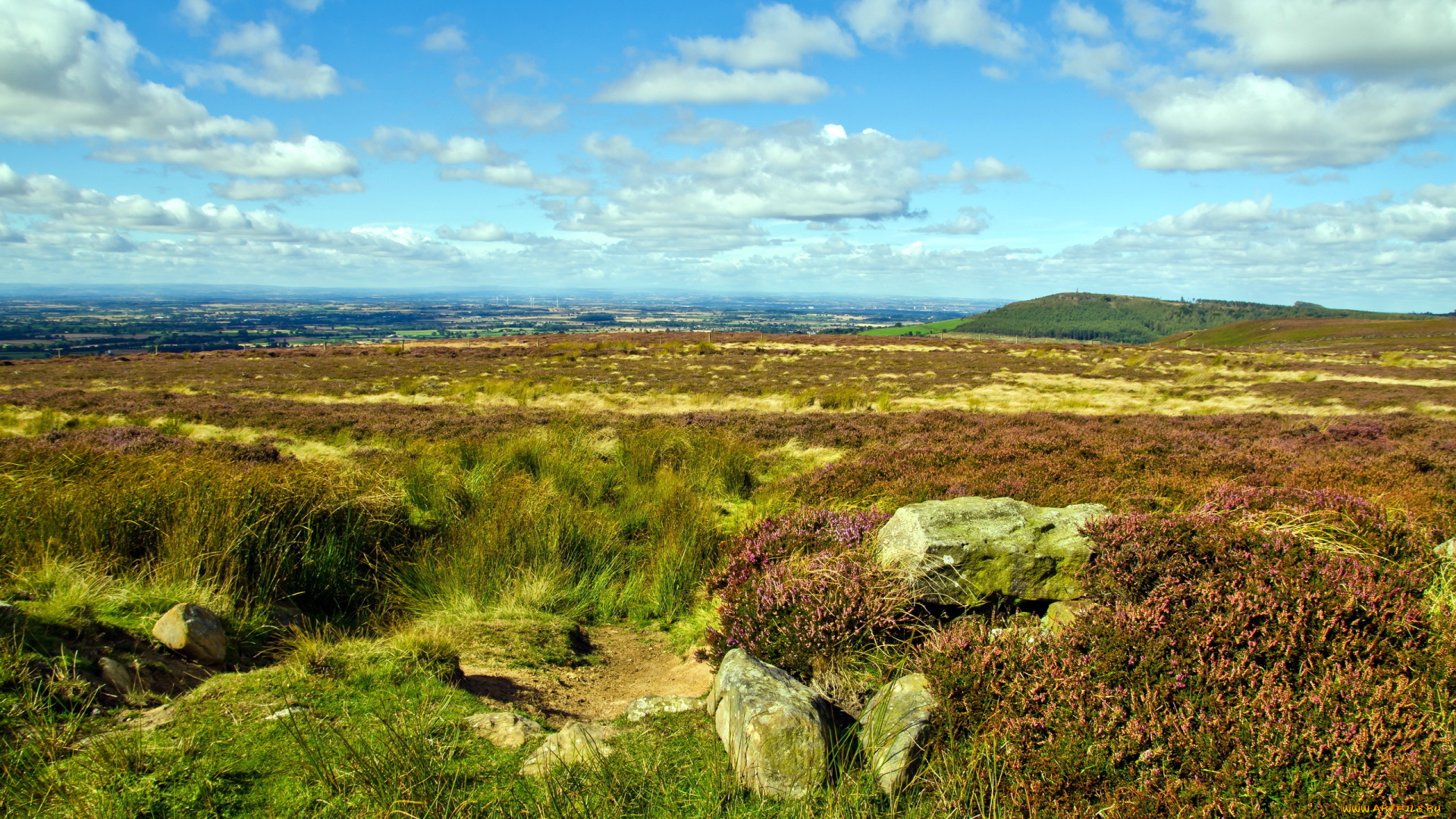 landscape, природа, поля, овраг, поле, трава, камни