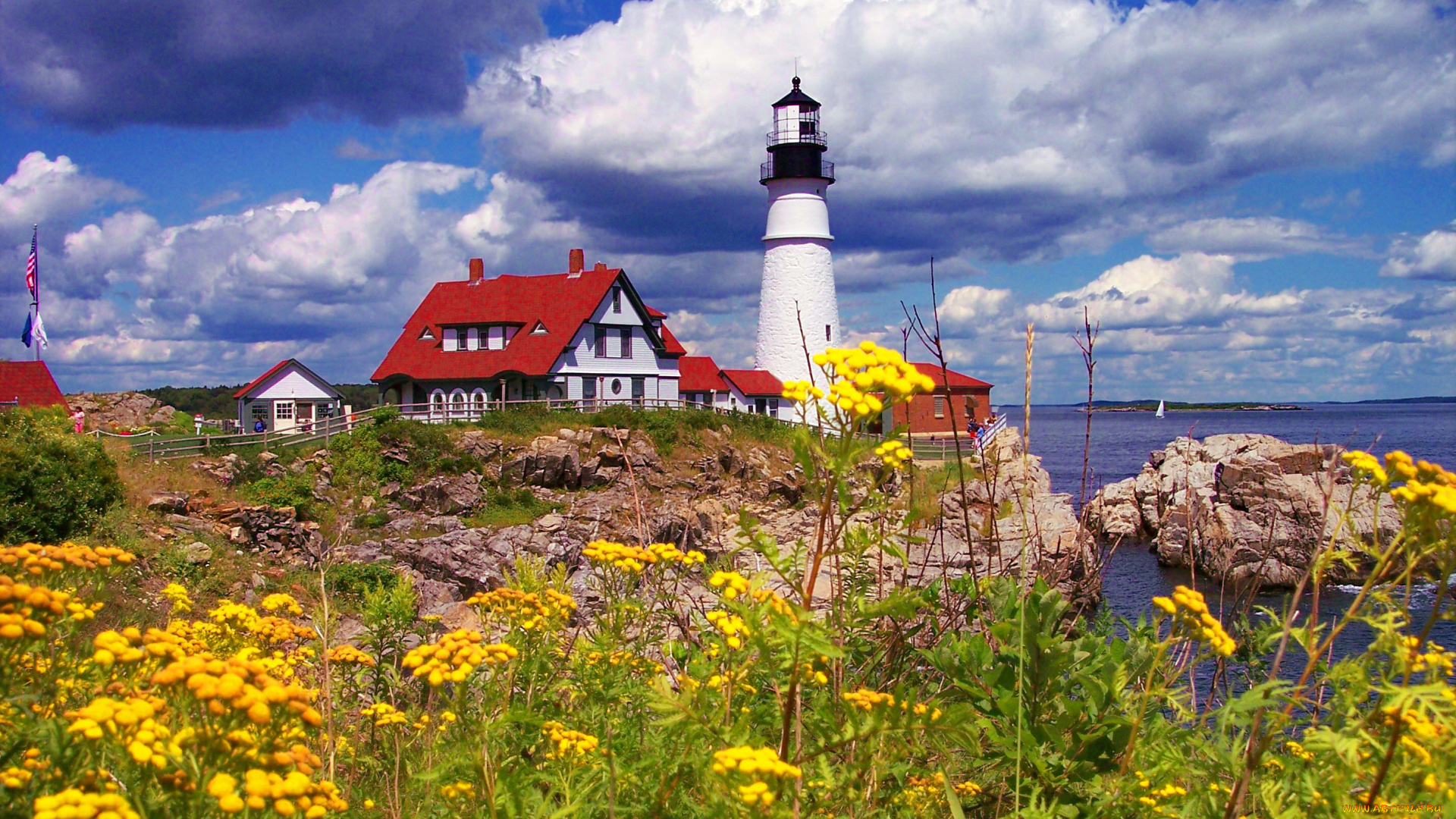 portland, headlight, природа, маяки, берег, маяк, поселок