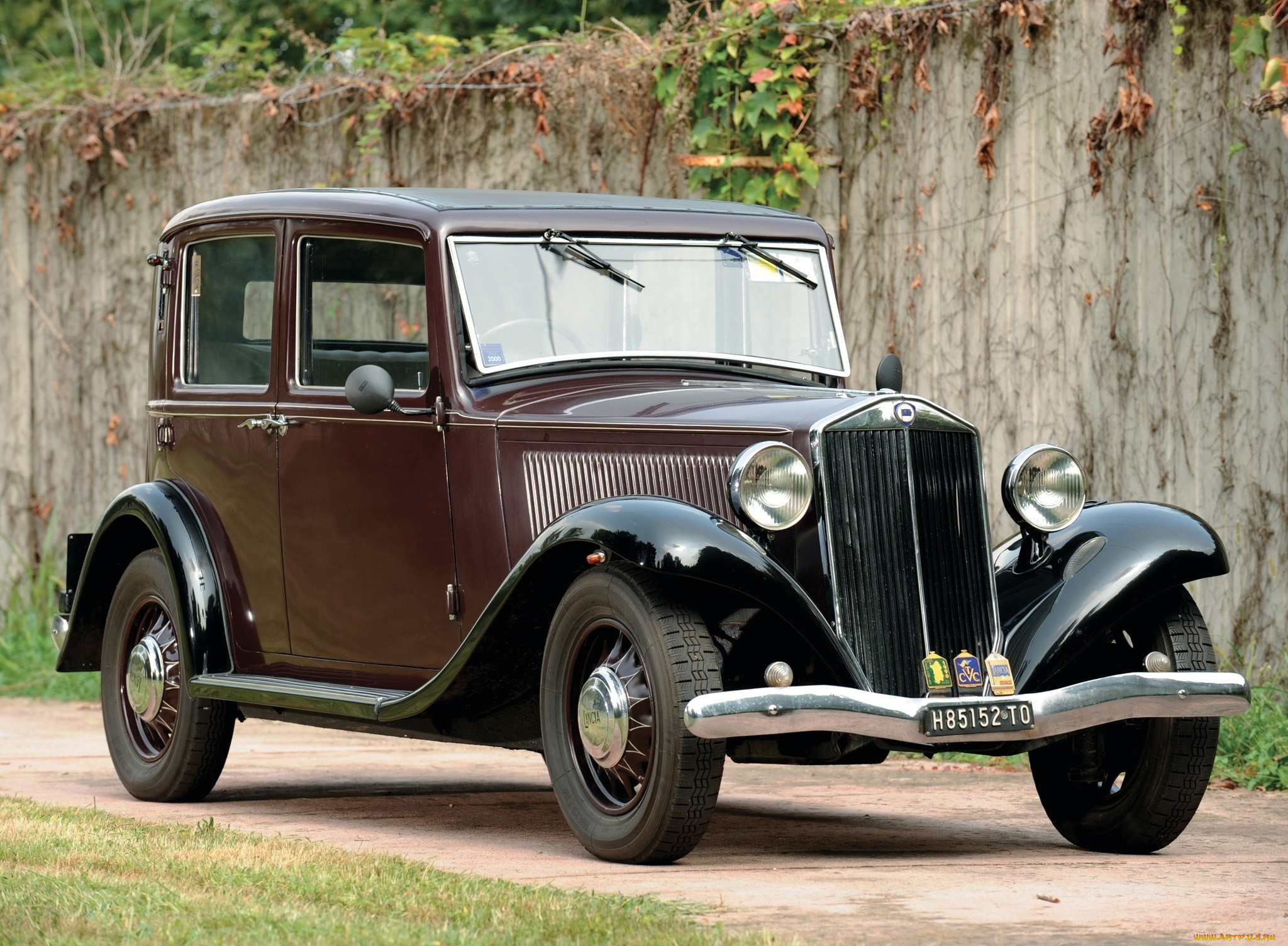 автомобили, классика, растения, дорога, стена