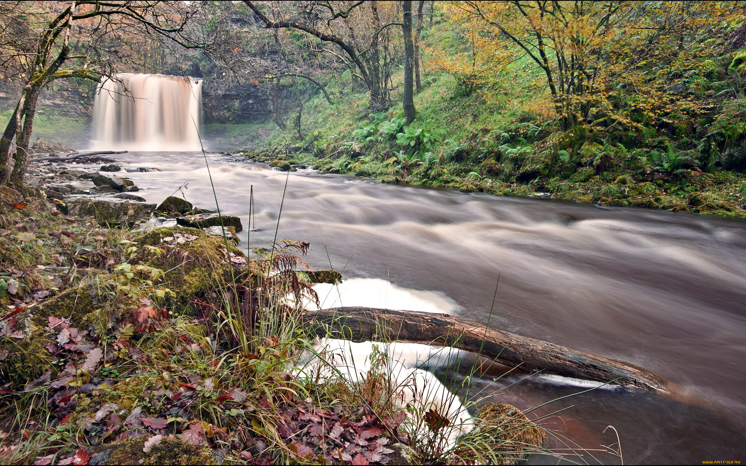 природа, водопады, река