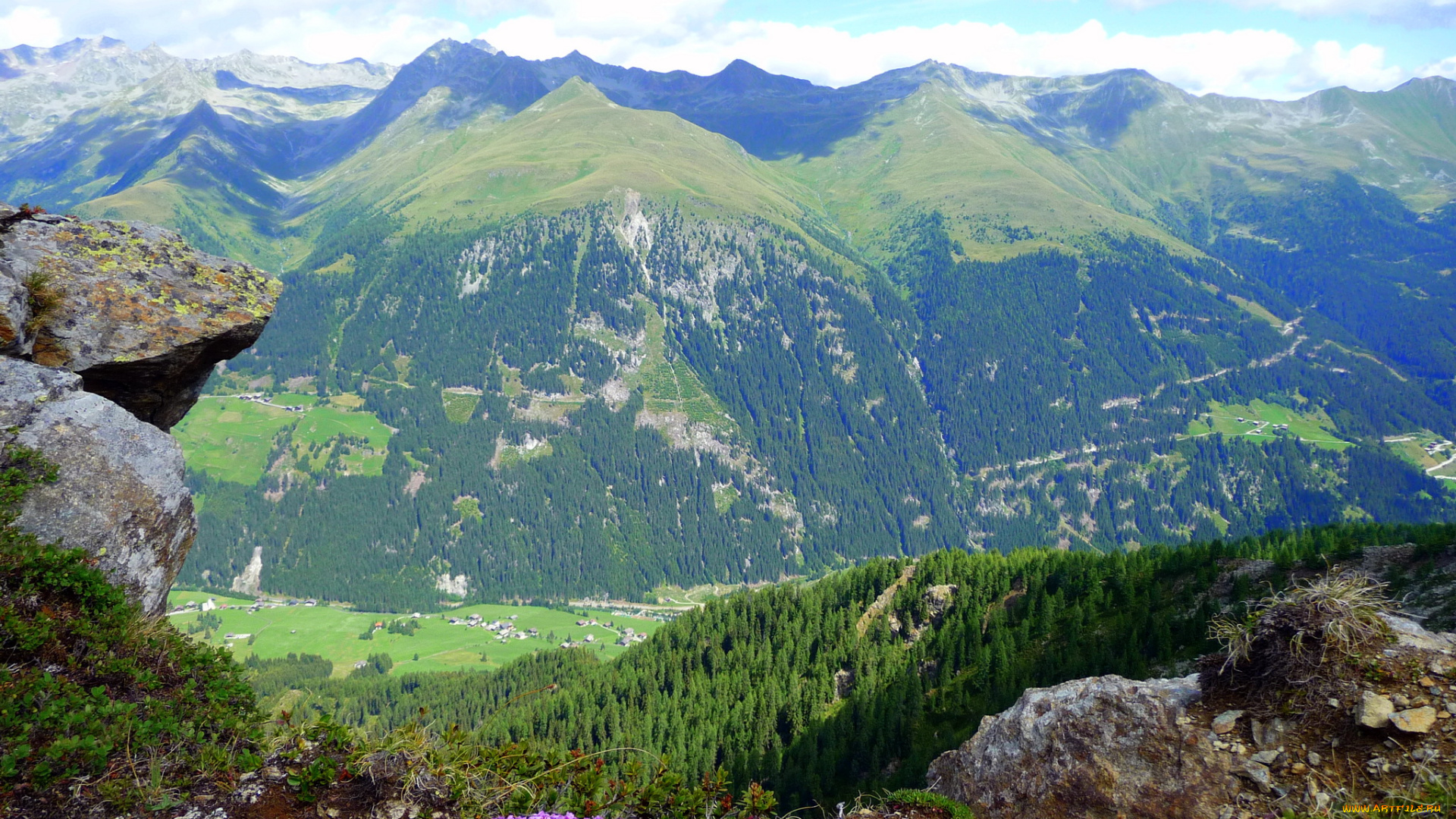 австрия, тироль, природа, горы, лес, цветы