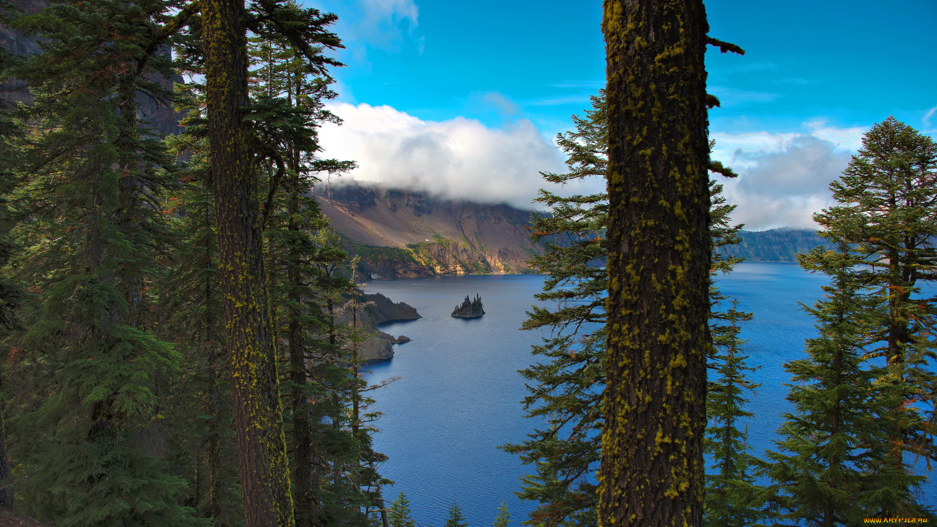 crater, lake, national, park, сша, природа, реки, озера, парк, озеро, деревья