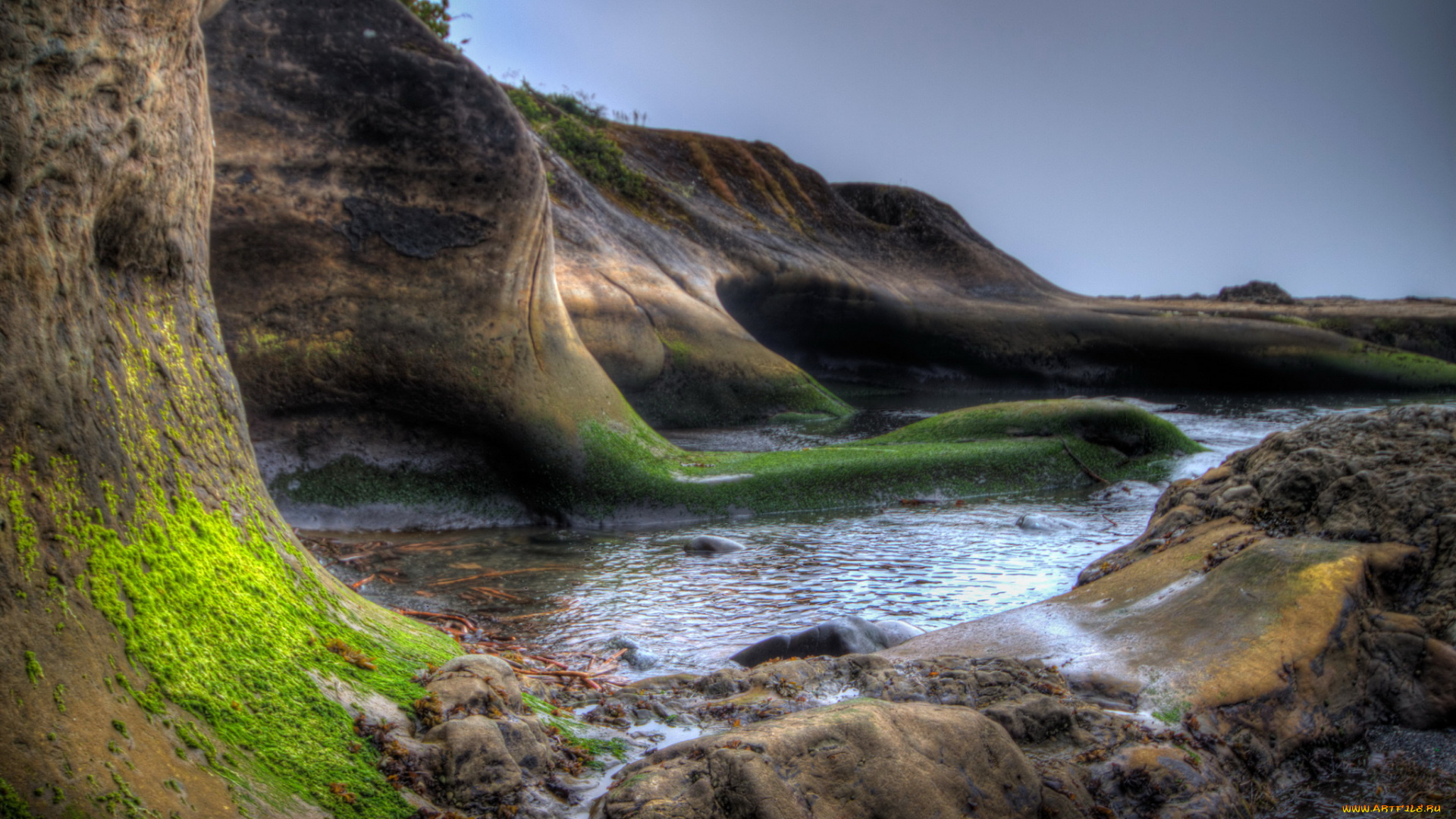 остров, ванкувер, канада, природа, побережье, море